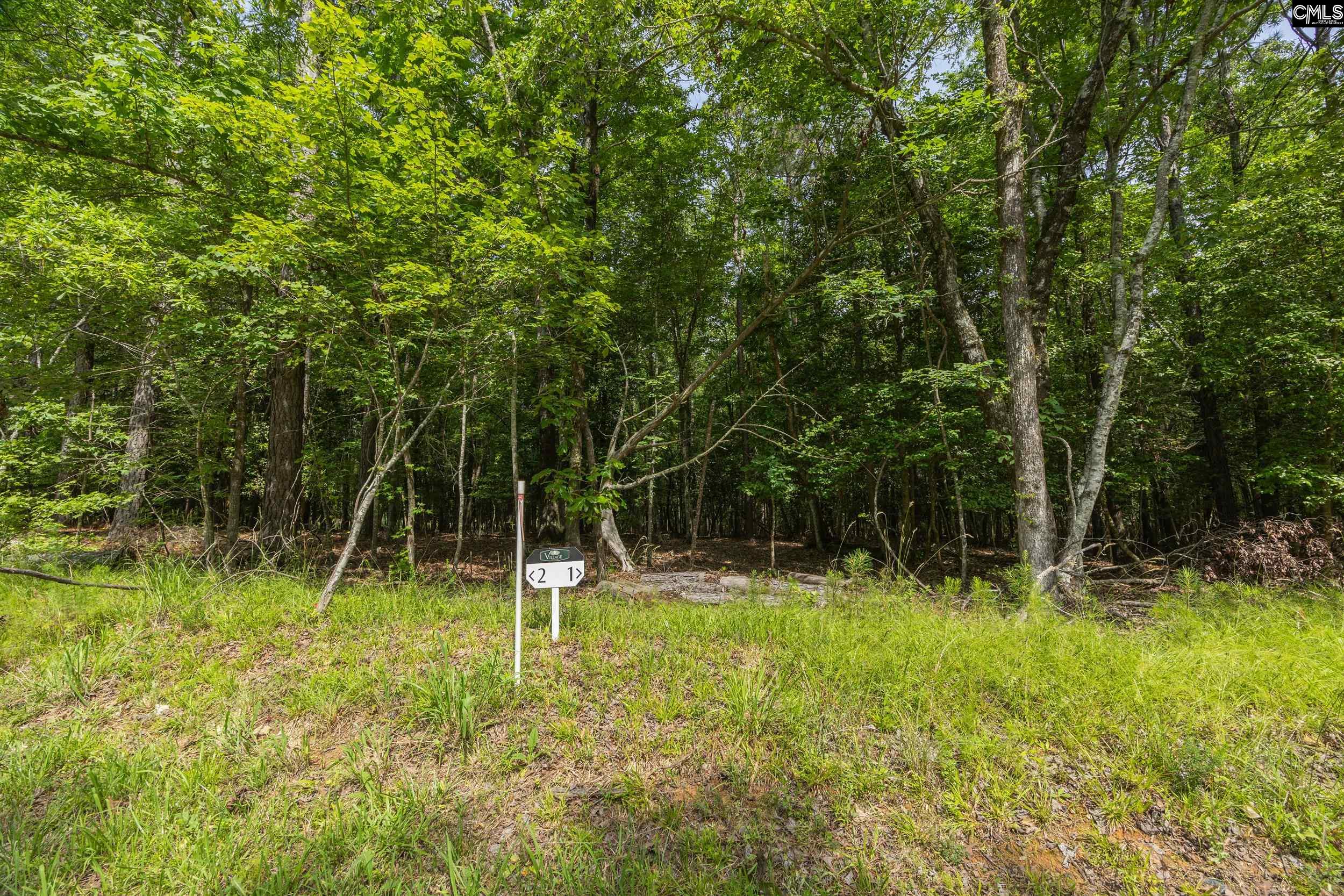 720 Clipper Trail, Chapin, South Carolina image 9