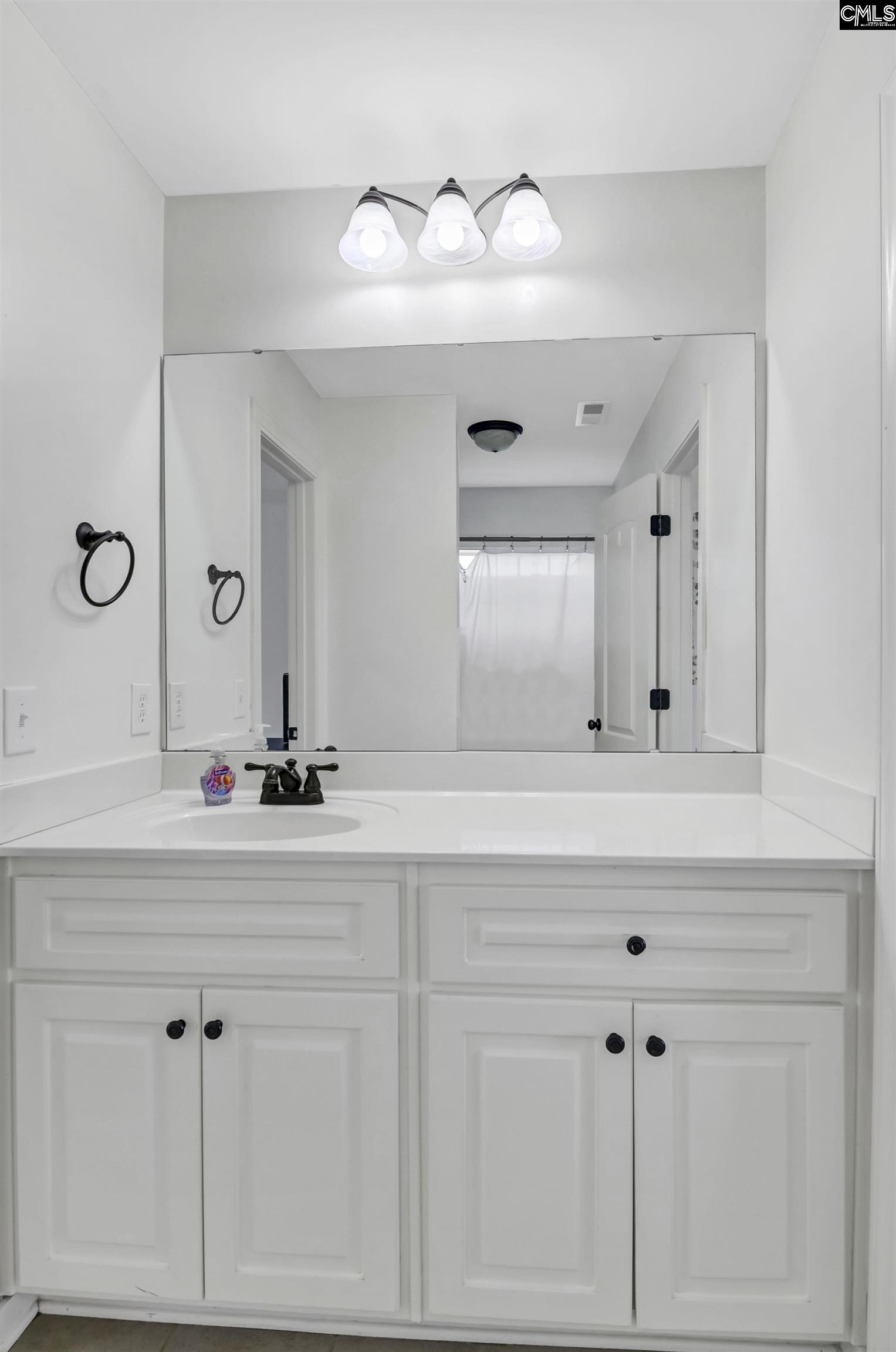 447 Beaumont Park Circle, Blythewood, South Carolina image 39