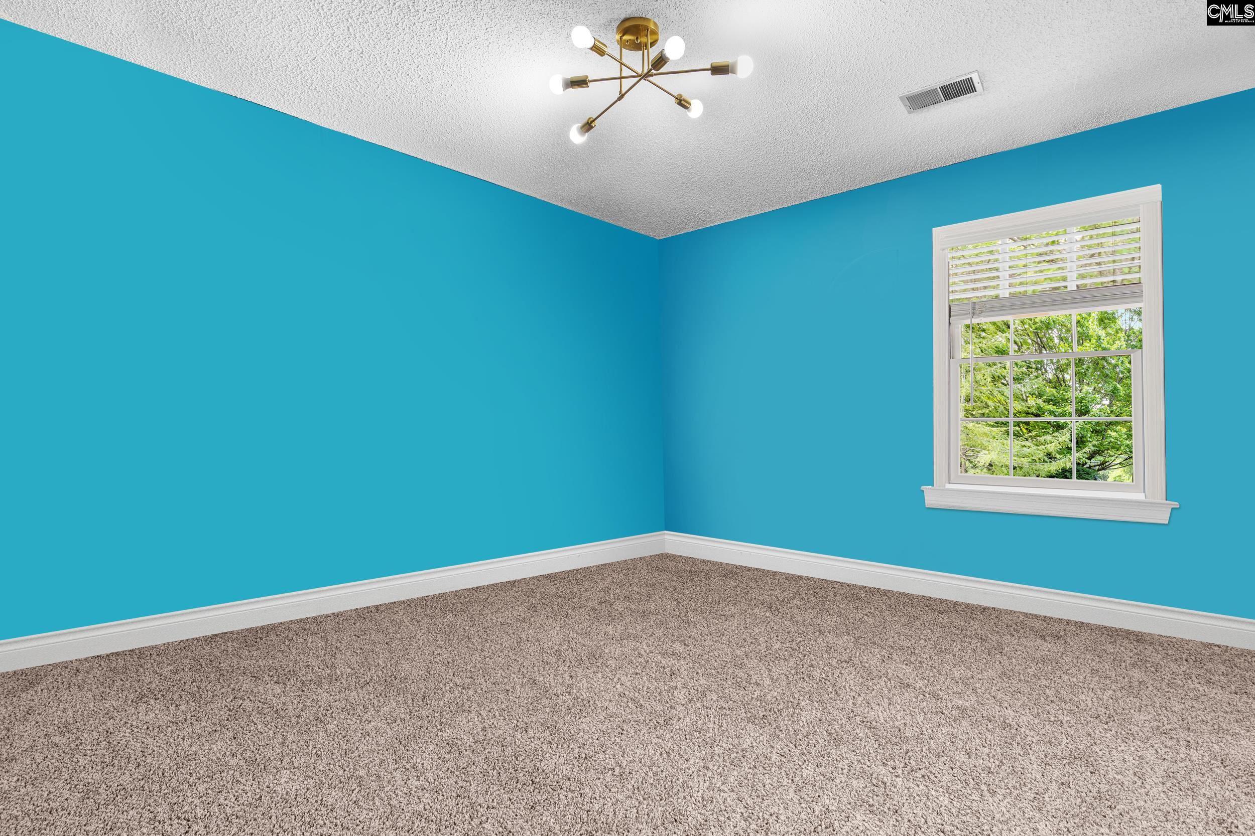 336 S Royal Tower Drive, Irmo, South Carolina image 19