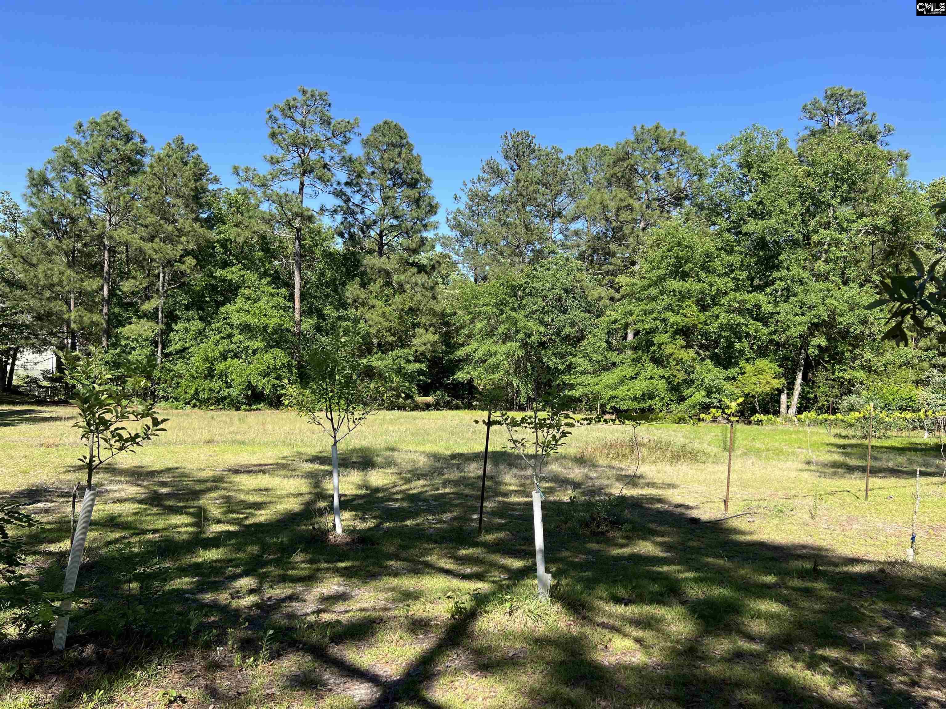 119 Lewis Court, Gilbert, South Carolina image 2
