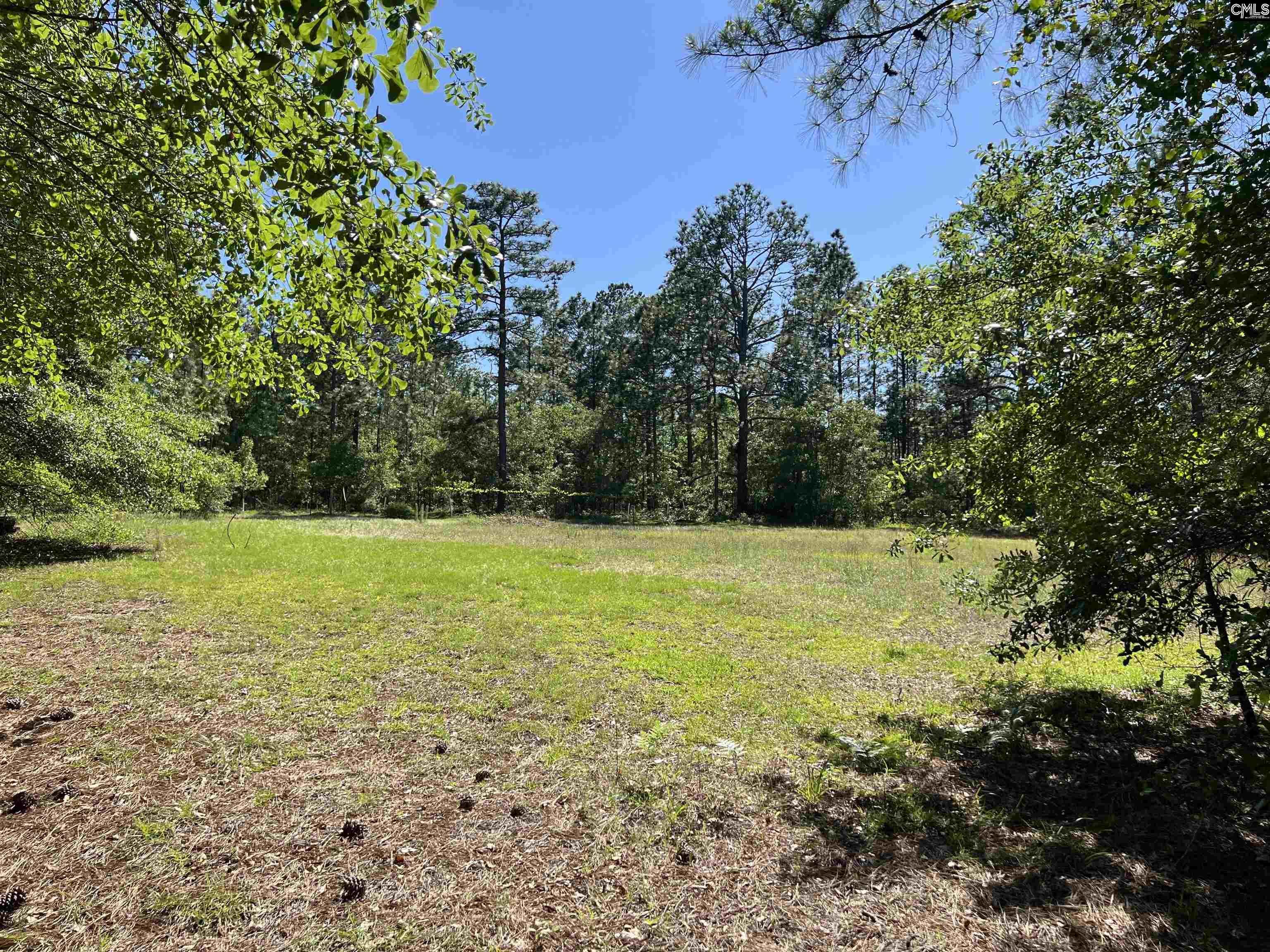 119 Lewis Court, Gilbert, South Carolina image 3