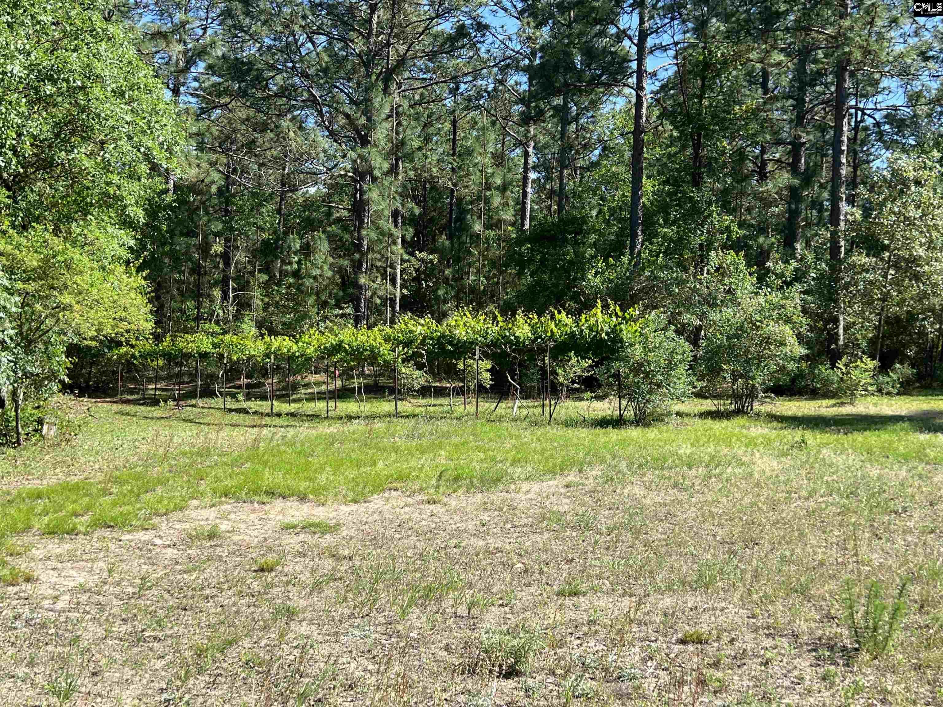 119 Lewis Court, Gilbert, South Carolina image 4