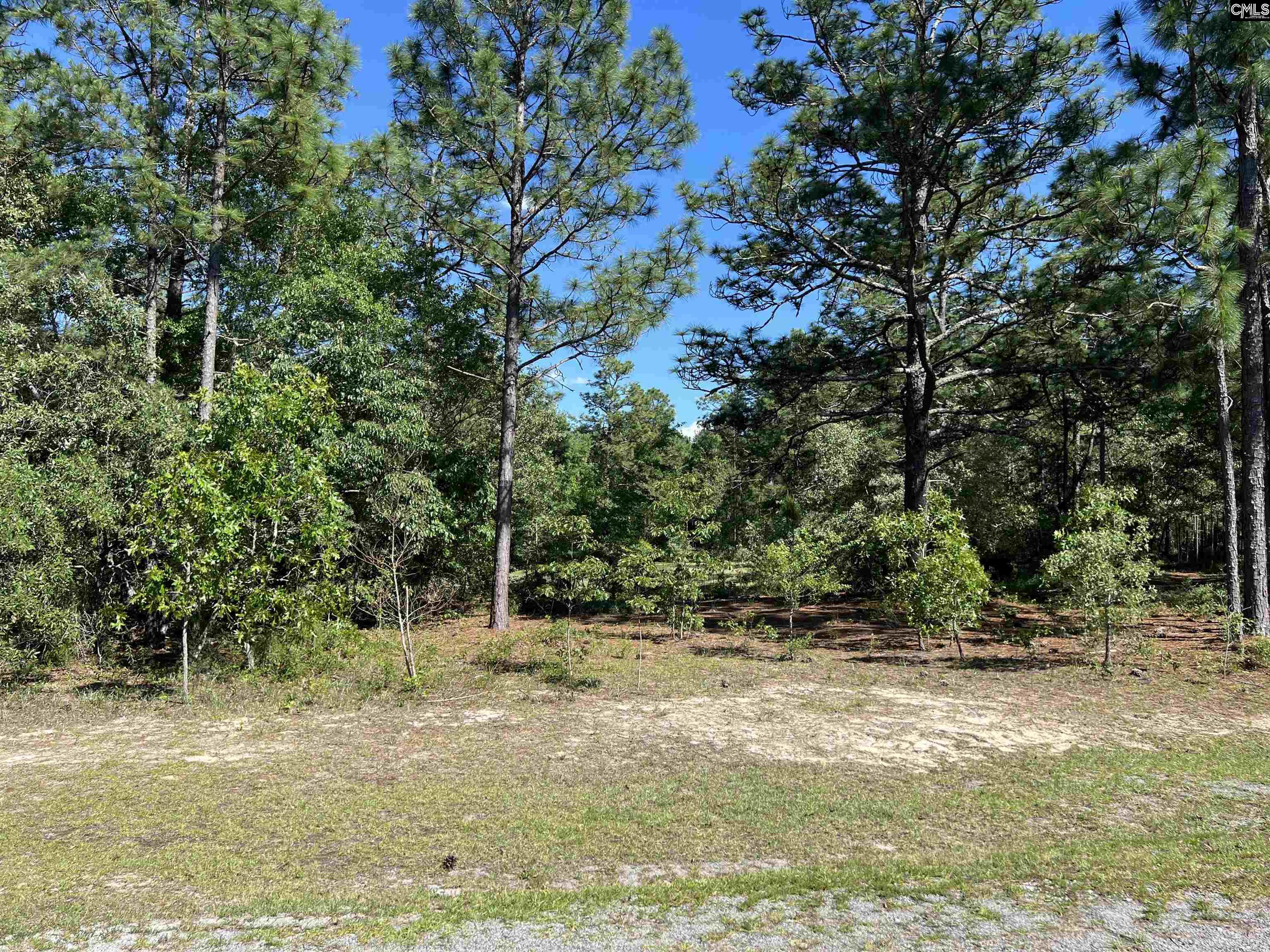 119 Lewis Court, Gilbert, South Carolina image 7