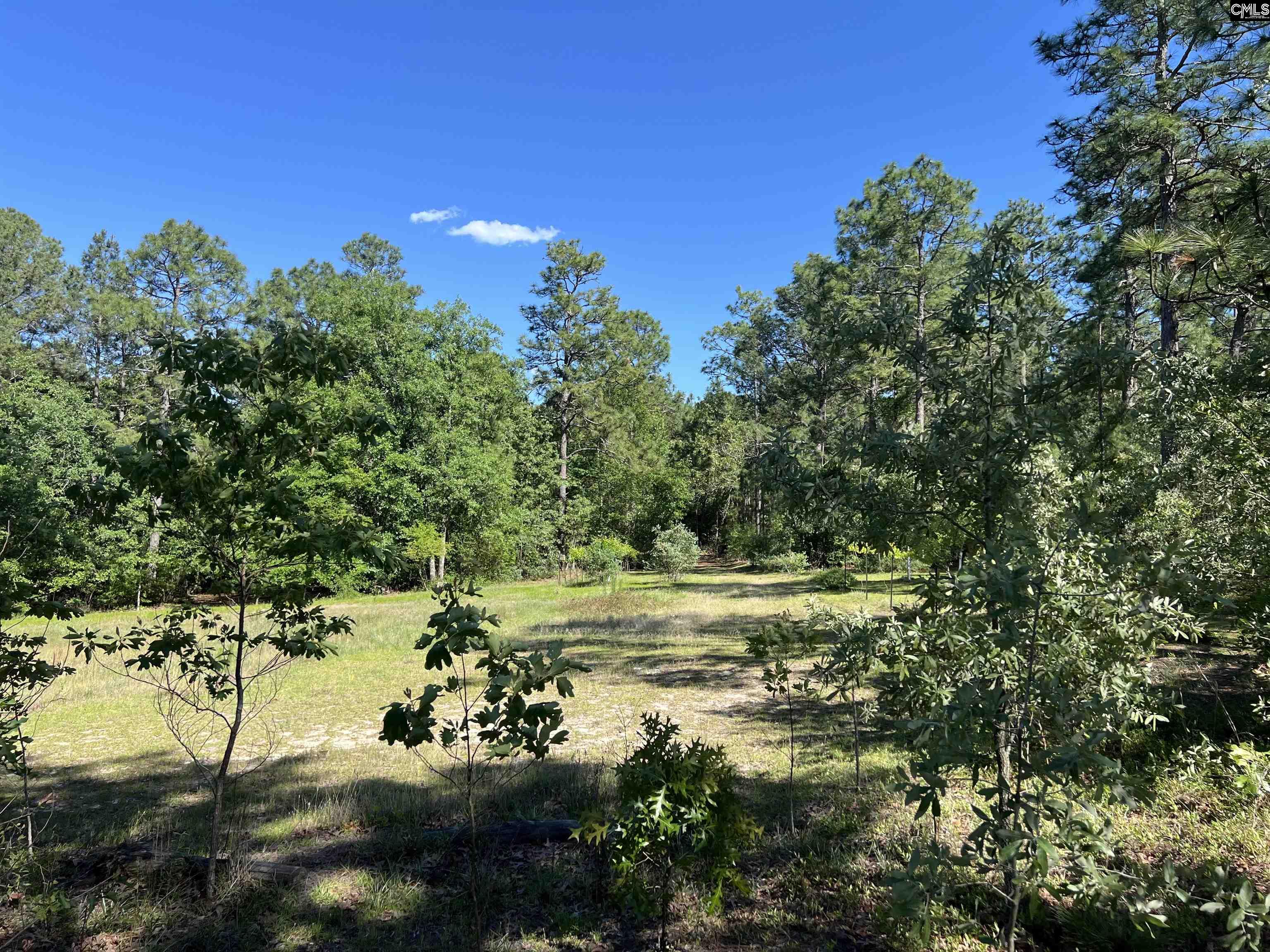 119 Lewis Court, Gilbert, South Carolina image 8