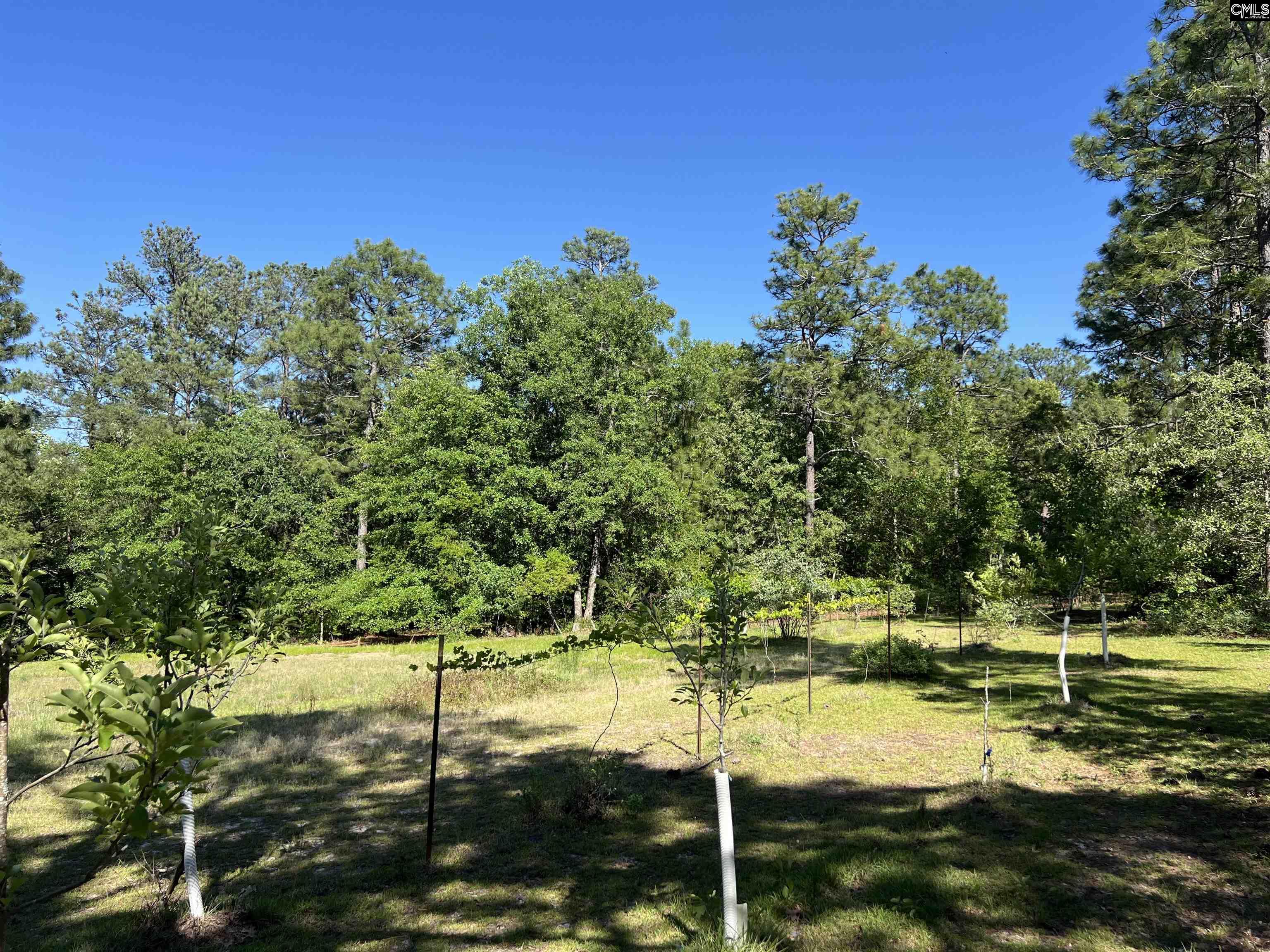 119 Lewis Court, Gilbert, South Carolina image 9