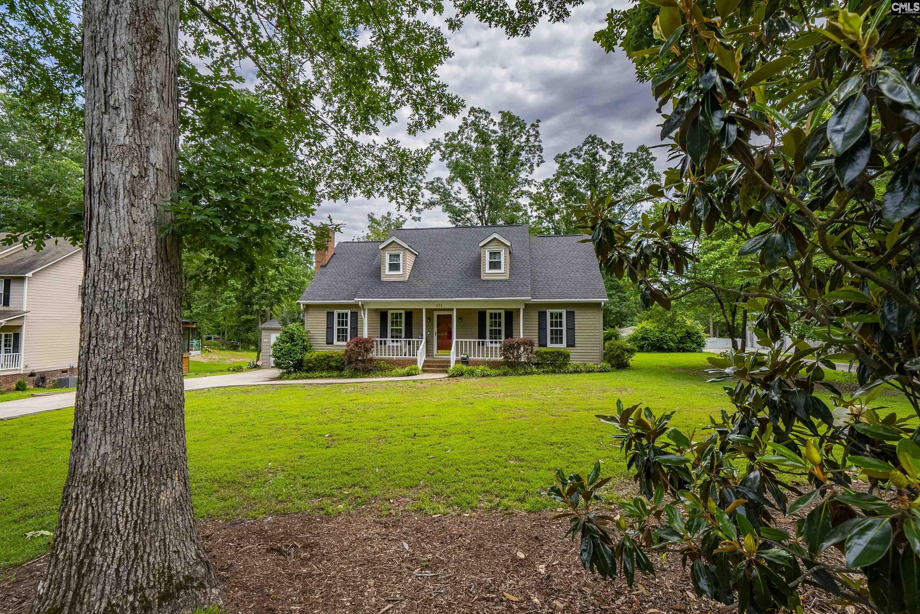 131 Arrow Shores Circle, Chapin, South Carolina image 3