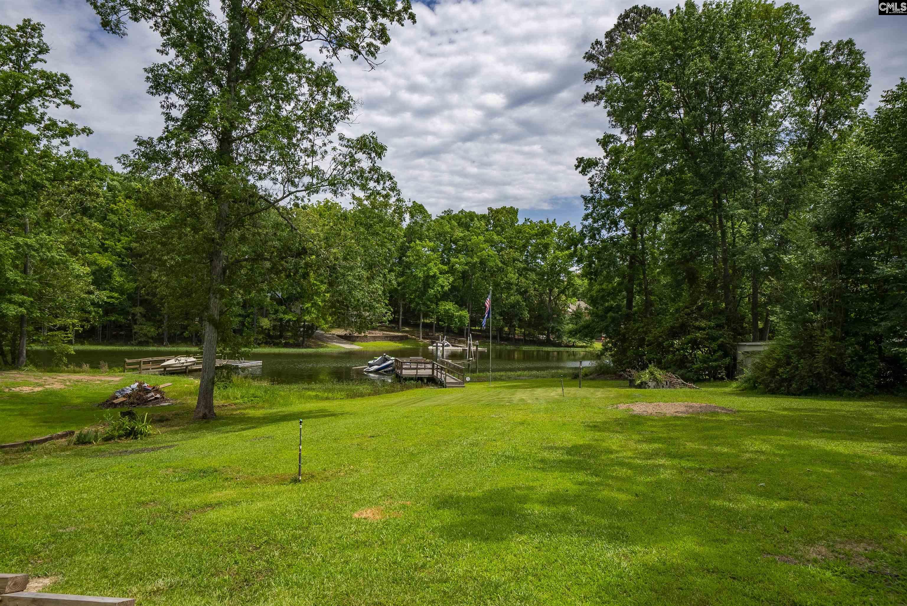 131 Arrow Shores Circle, Chapin, South Carolina image 8
