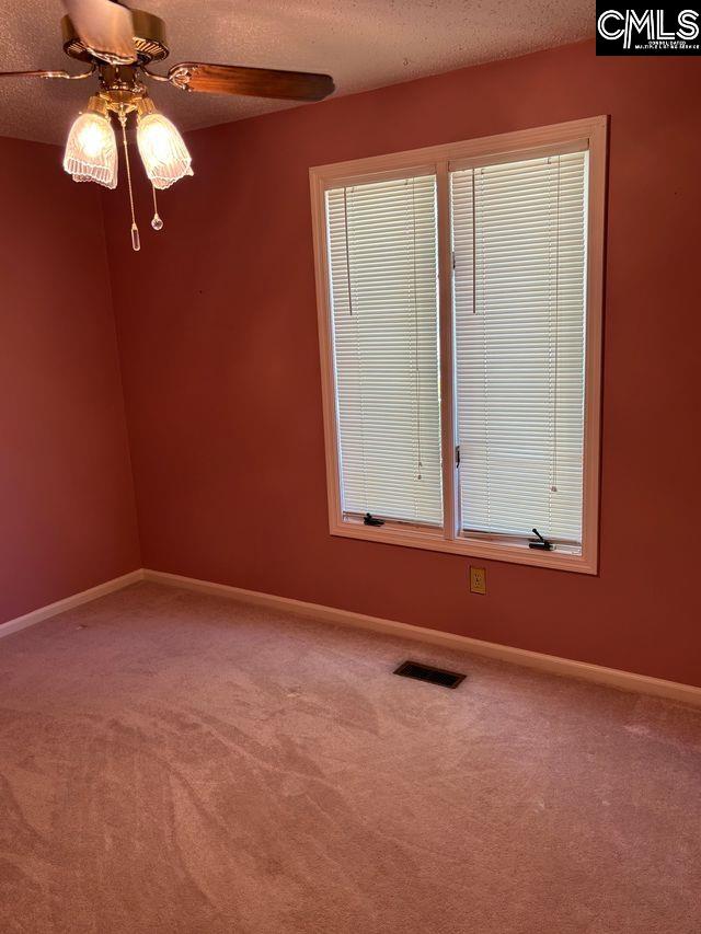 100 Clee Hill Court, Irmo, South Carolina image 27