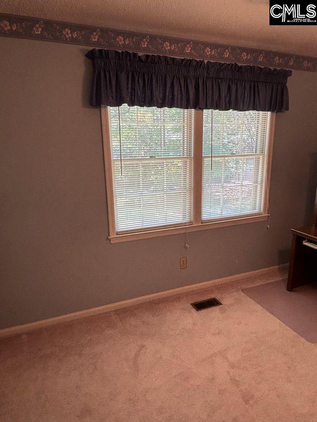100 Clee Hill Court, Irmo, South Carolina image 31