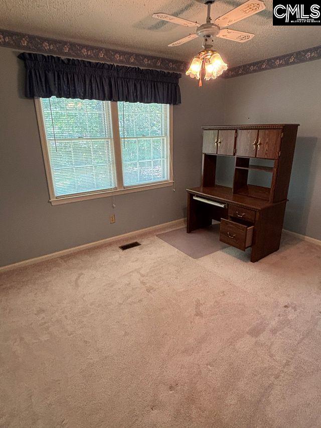 100 Clee Hill Court, Irmo, South Carolina image 32