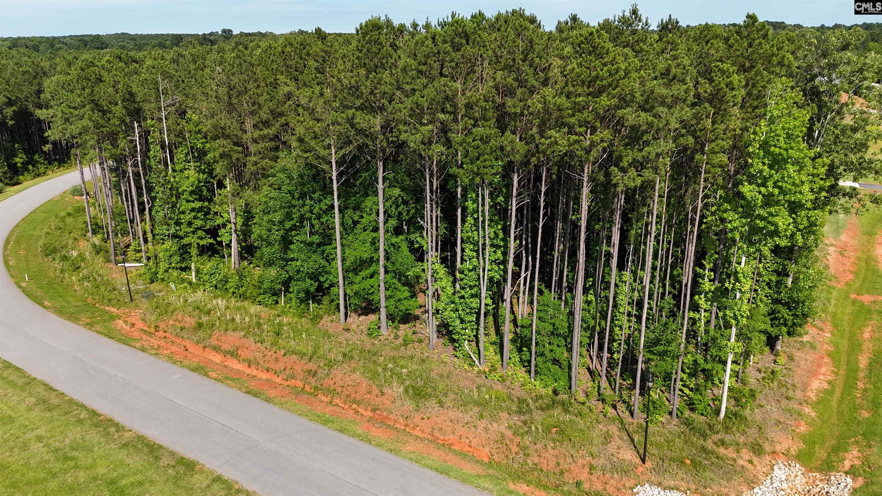 Longview Drive, Leesville, South Carolina image 1
