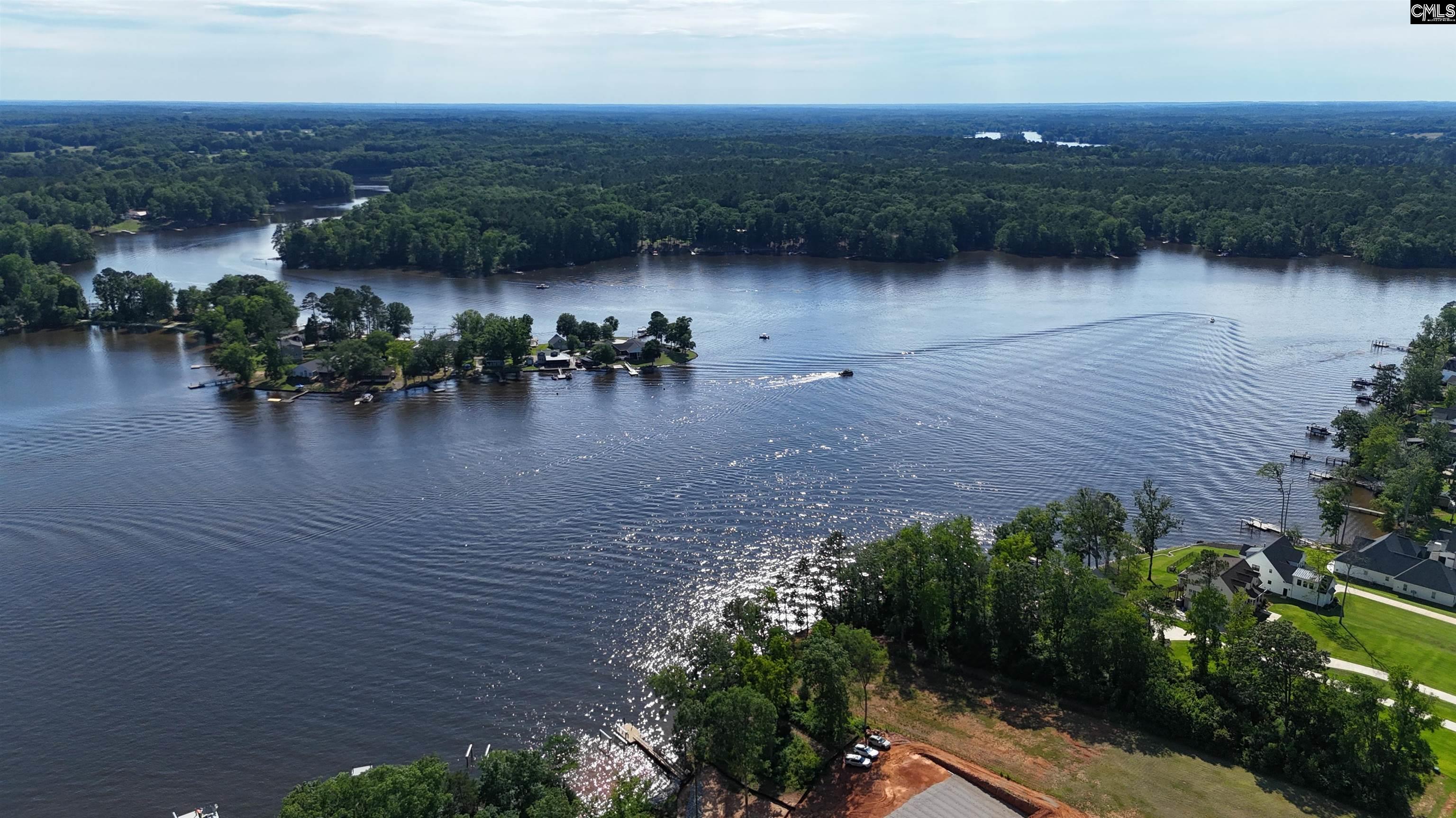 Longview Drive, Leesville, South Carolina image 11