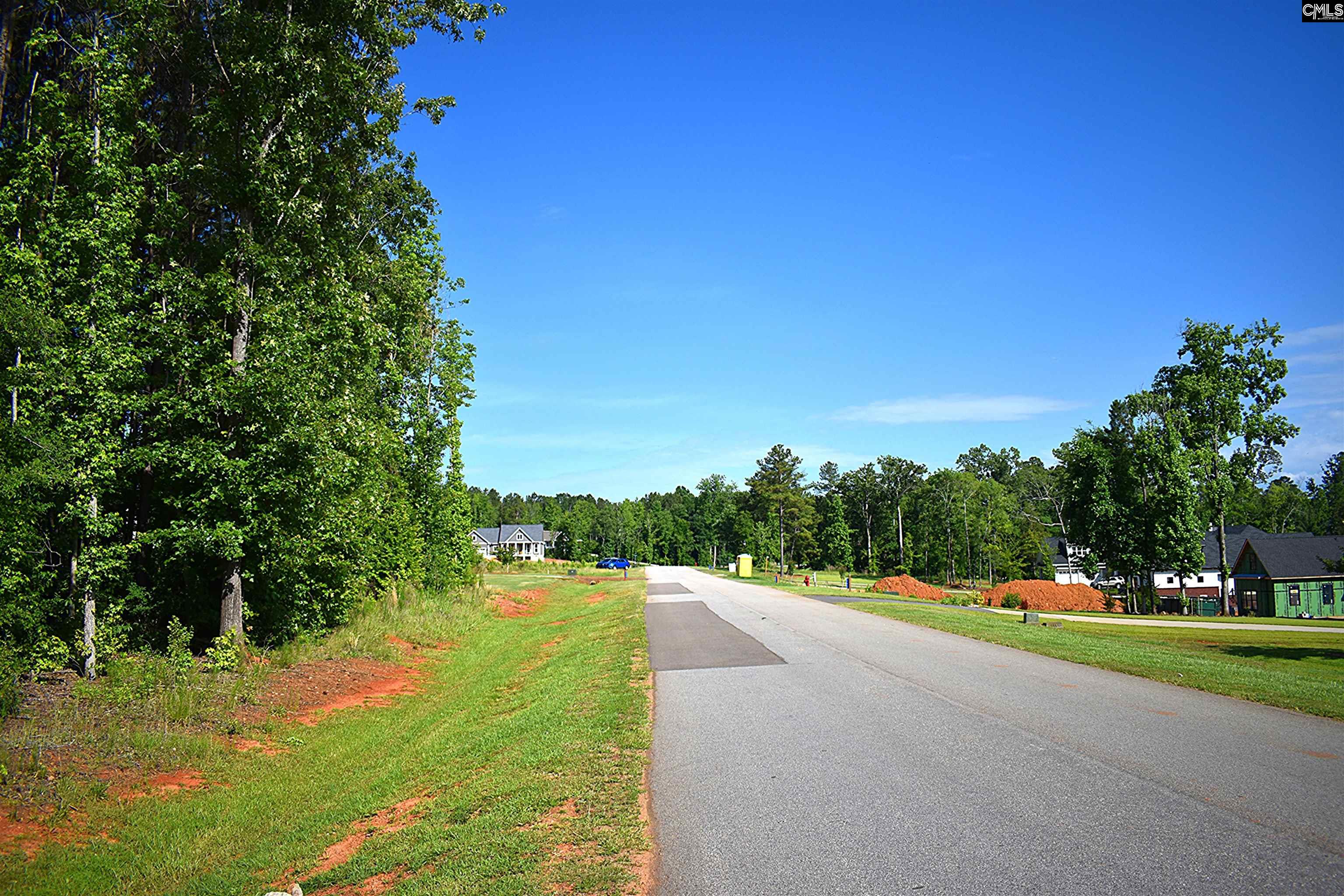 Longview Drive, Leesville, South Carolina image 14