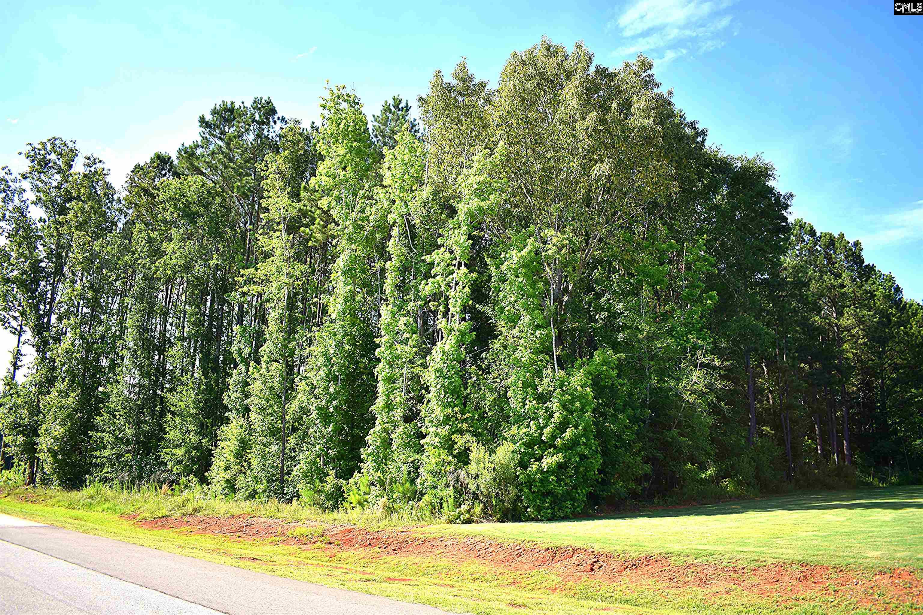 Longview Drive, Leesville, South Carolina image 16