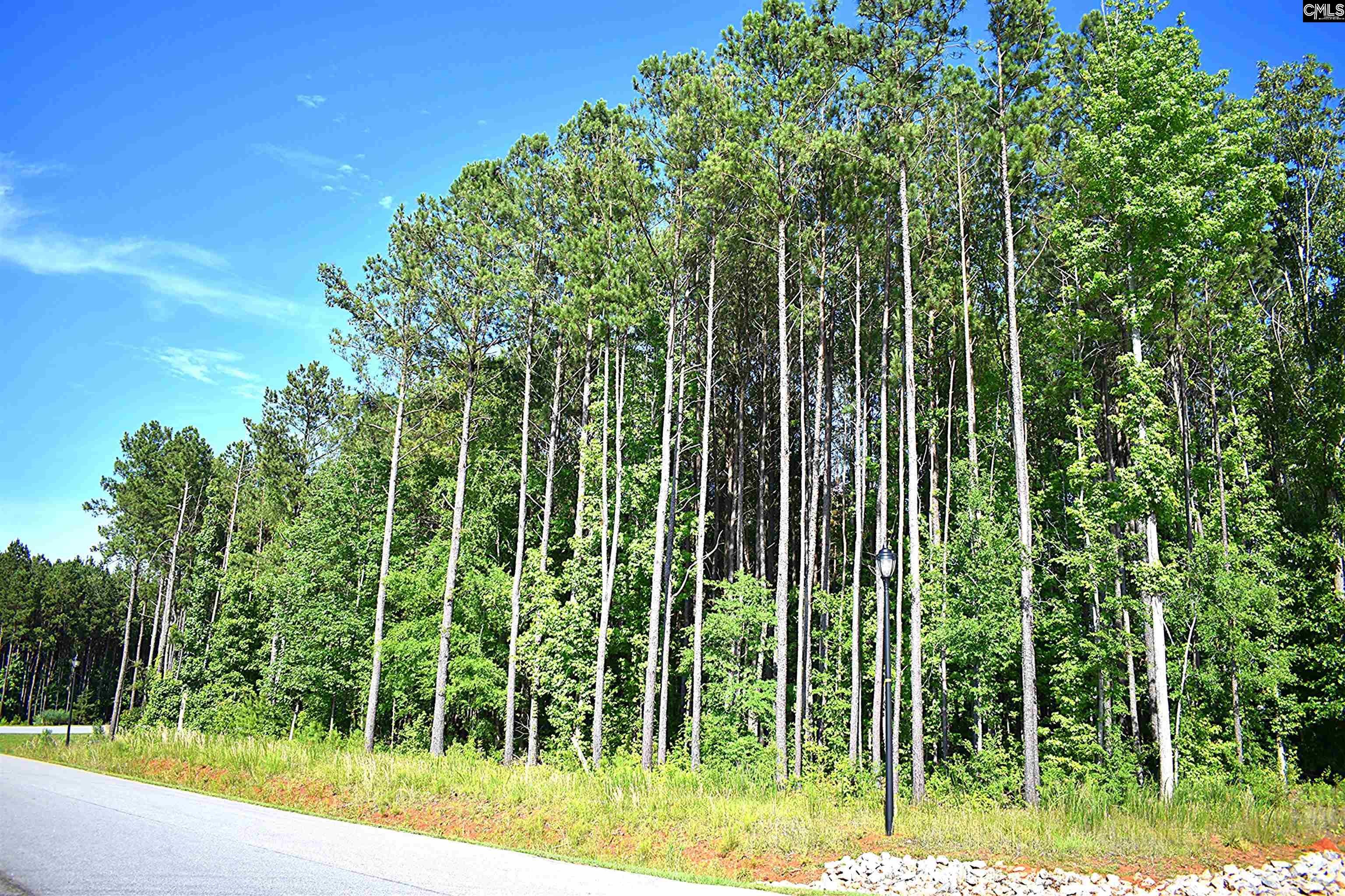 Longview Drive, Leesville, South Carolina image 17
