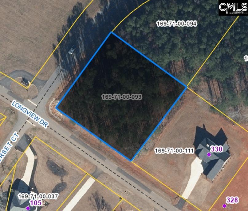 Longview Drive, Leesville, South Carolina image 4