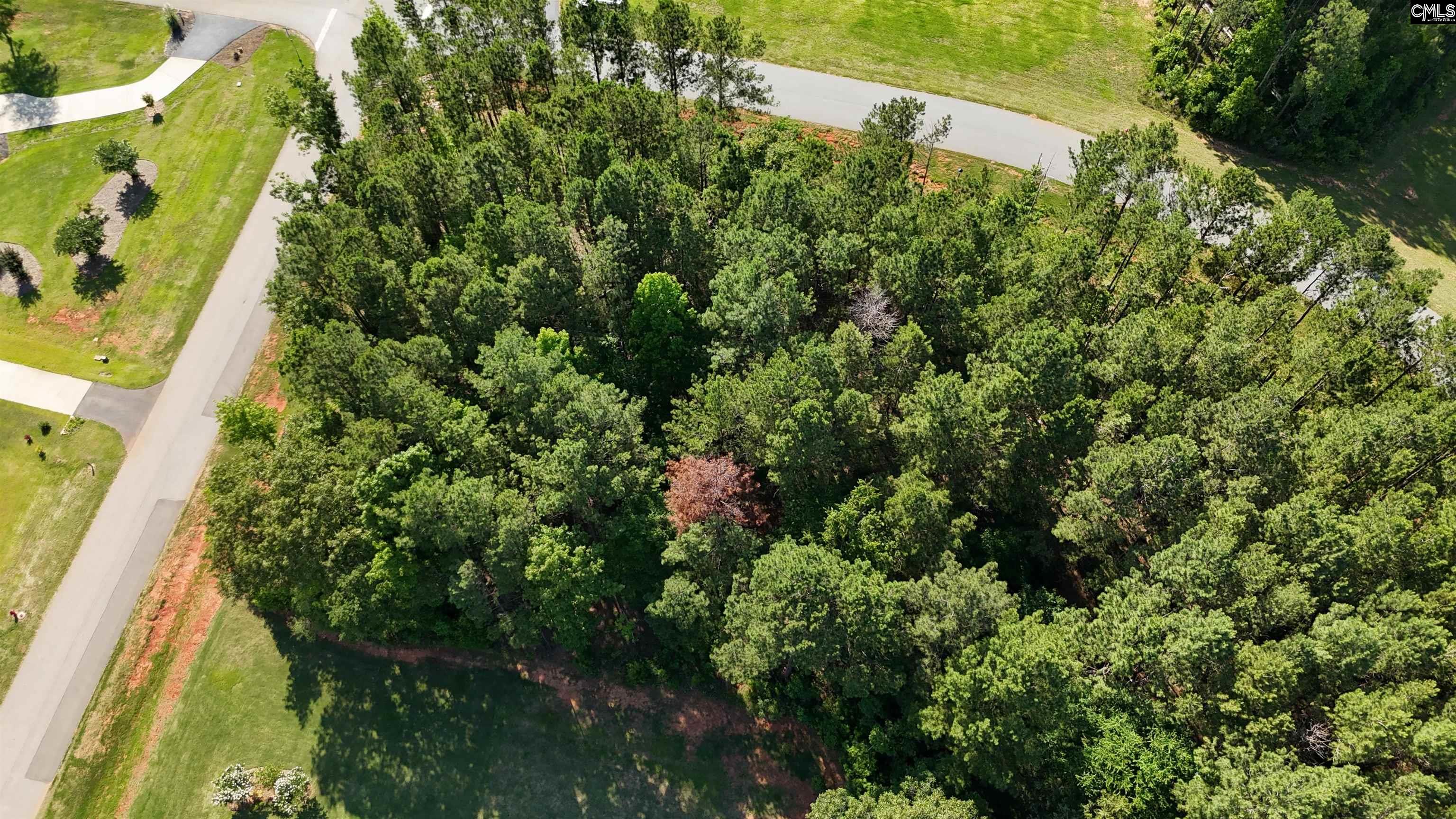 Longview Drive, Leesville, South Carolina image 6