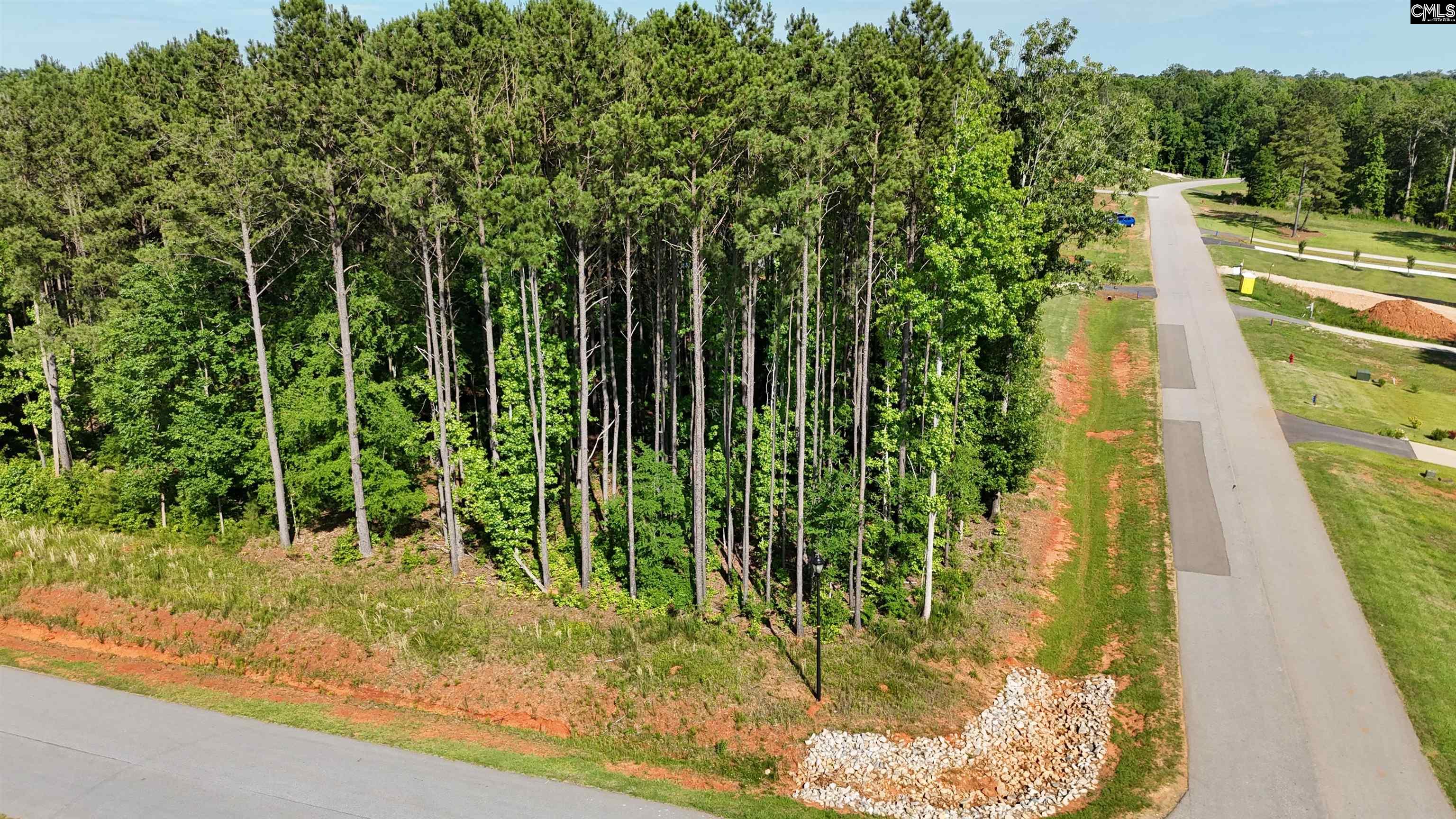 Longview Drive, Leesville, South Carolina image 7