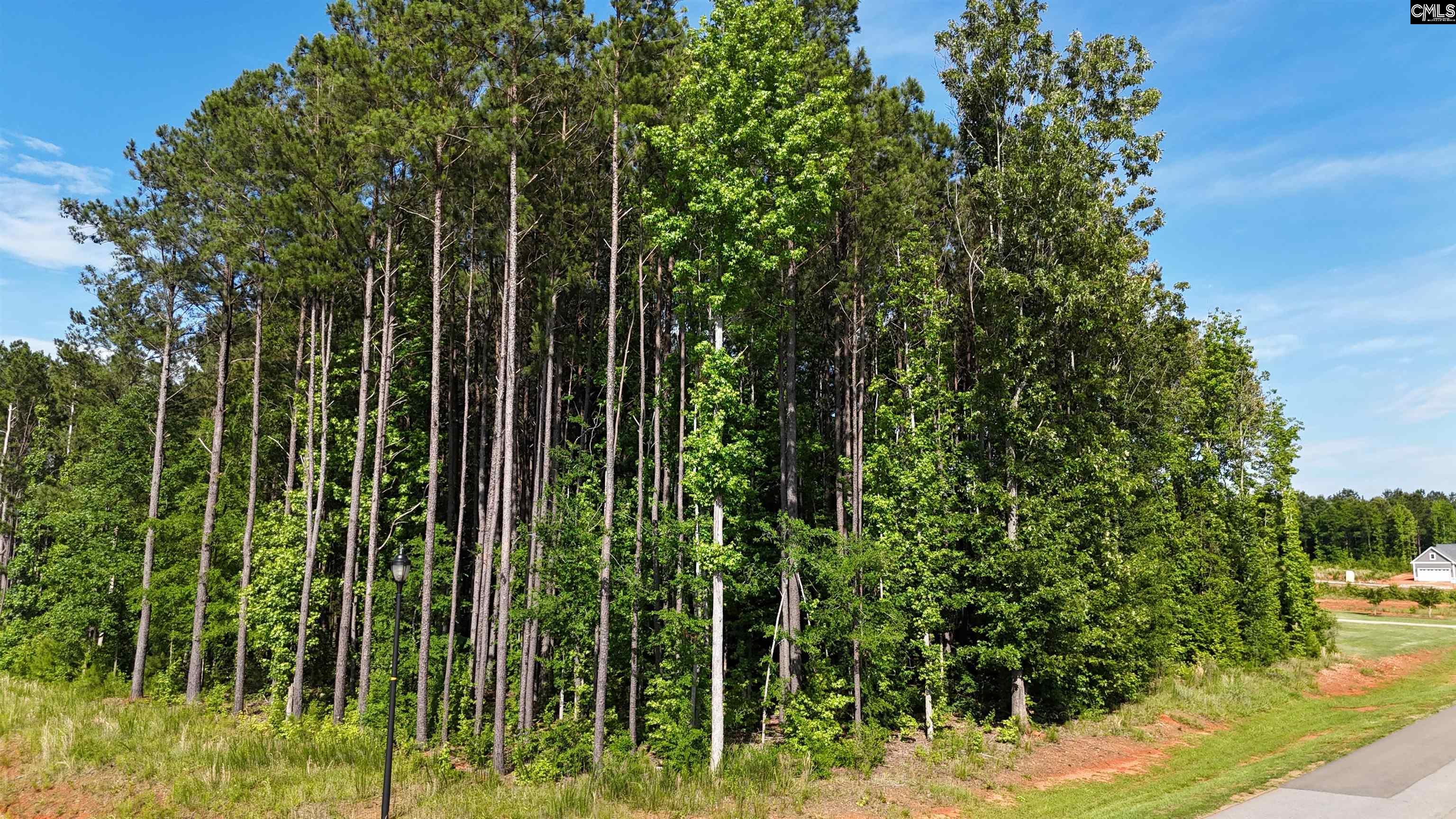 Longview Drive, Leesville, South Carolina image 9