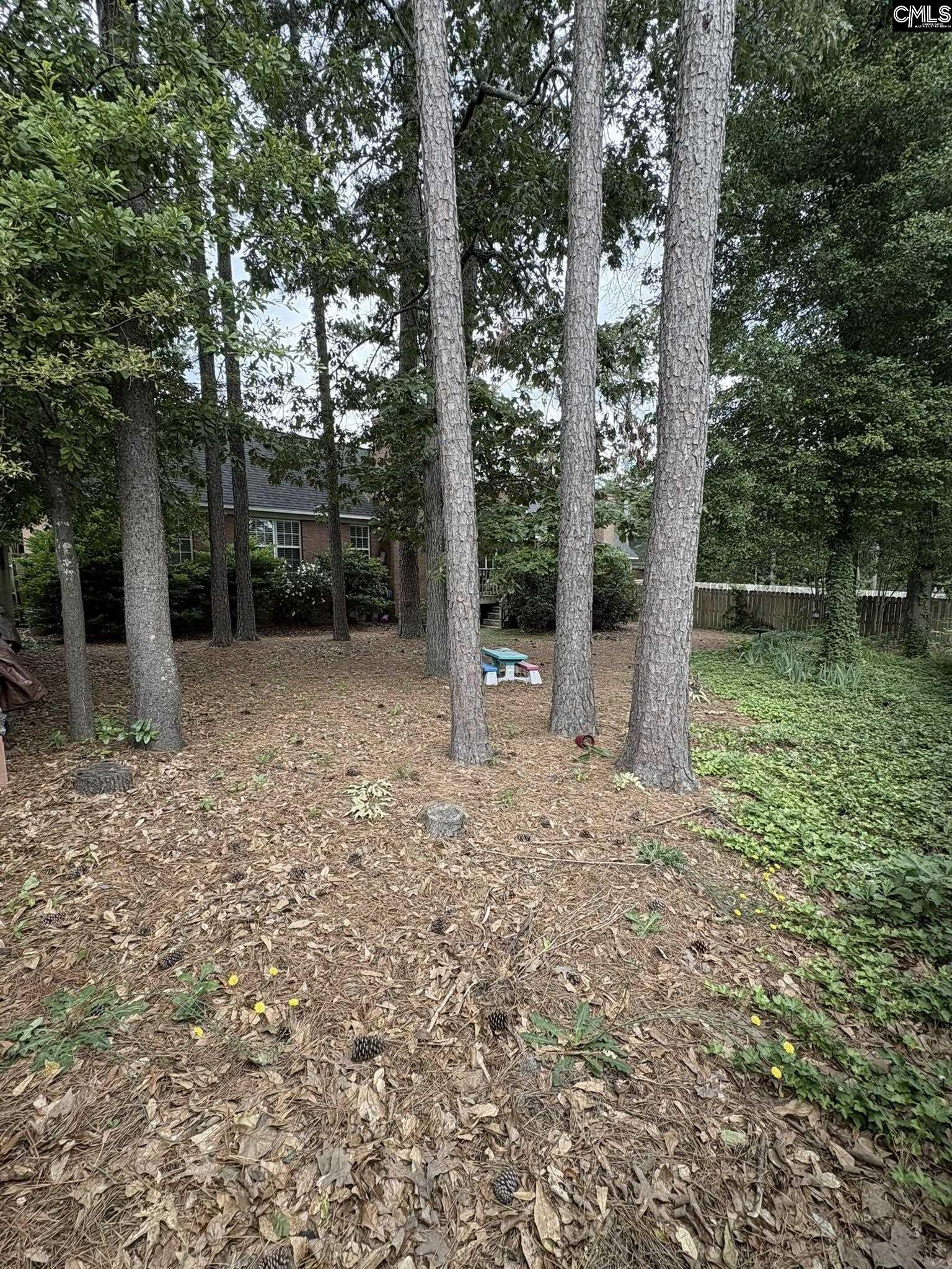 10 Tambridge Court, Columbia, South Carolina image 18