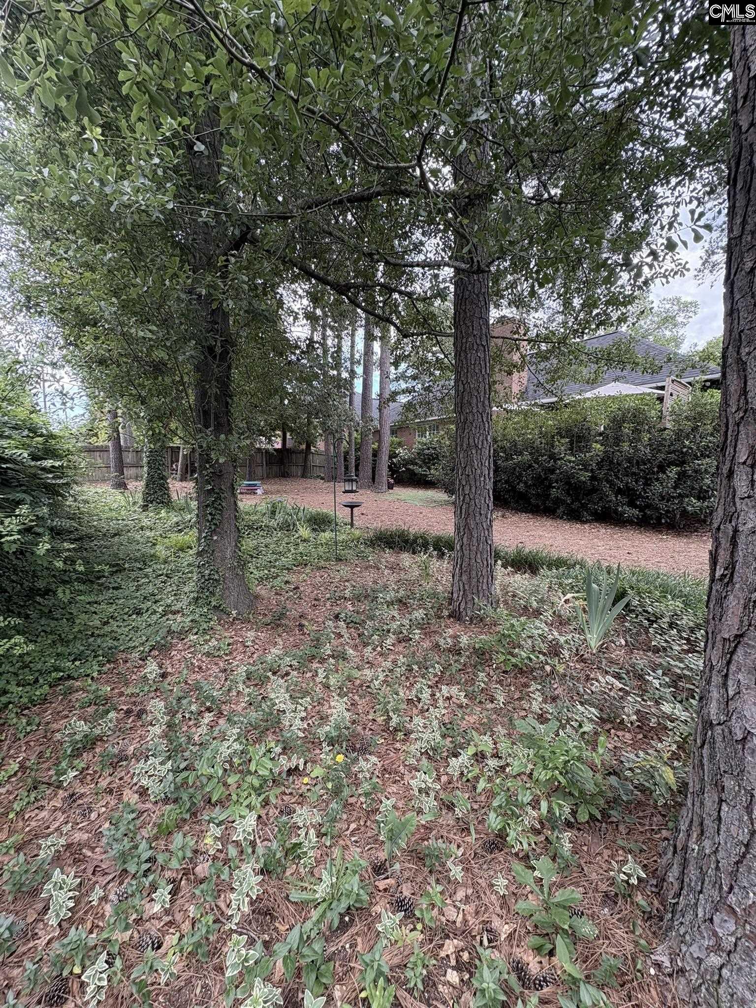 10 Tambridge Court, Columbia, South Carolina image 19