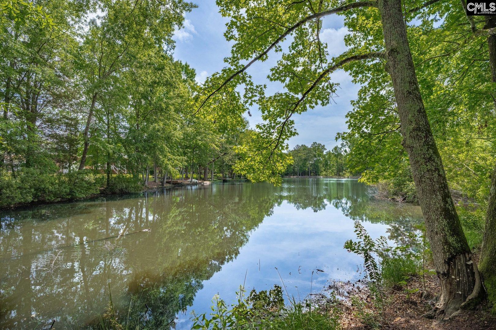 1051 Richard Franklin Road, Chapin, South Carolina image 11