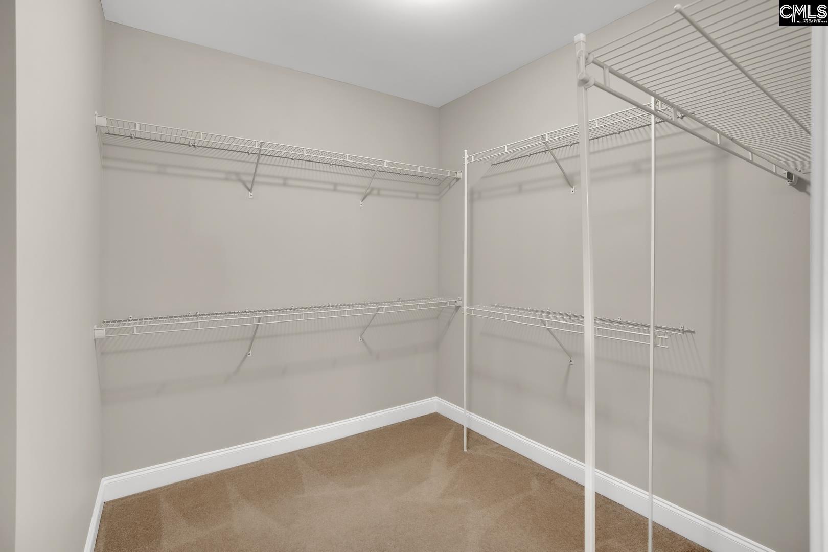 1051 Richard Franklin Road, Chapin, South Carolina image 35