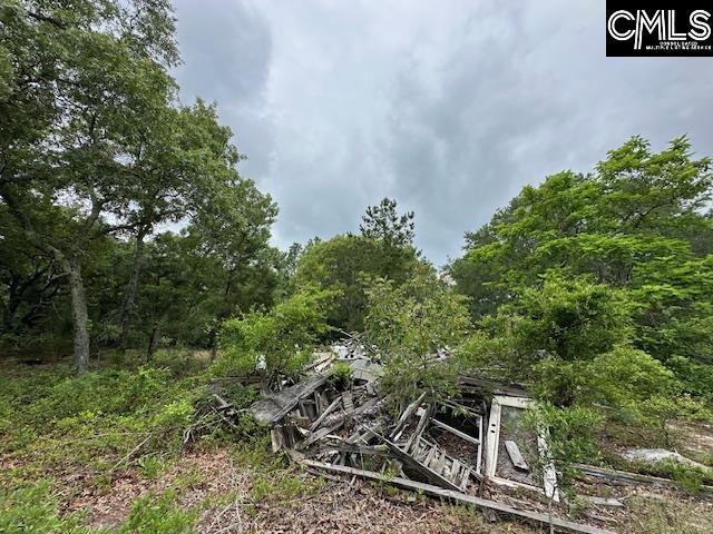 123 Landreth Court, Gaston, South Carolina image 1