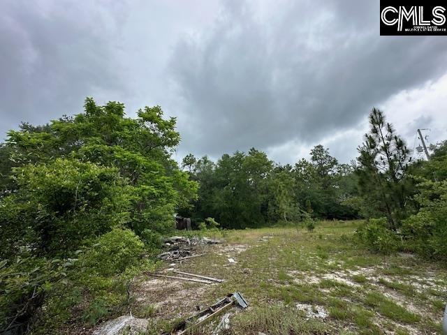 123 Landreth Court, Gaston, South Carolina image 2