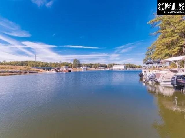 269 Marina Cove Drive, Gilbert, South Carolina image 39