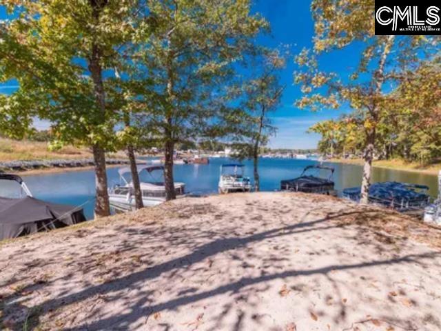 269 Marina Cove Drive, Gilbert, South Carolina image 42