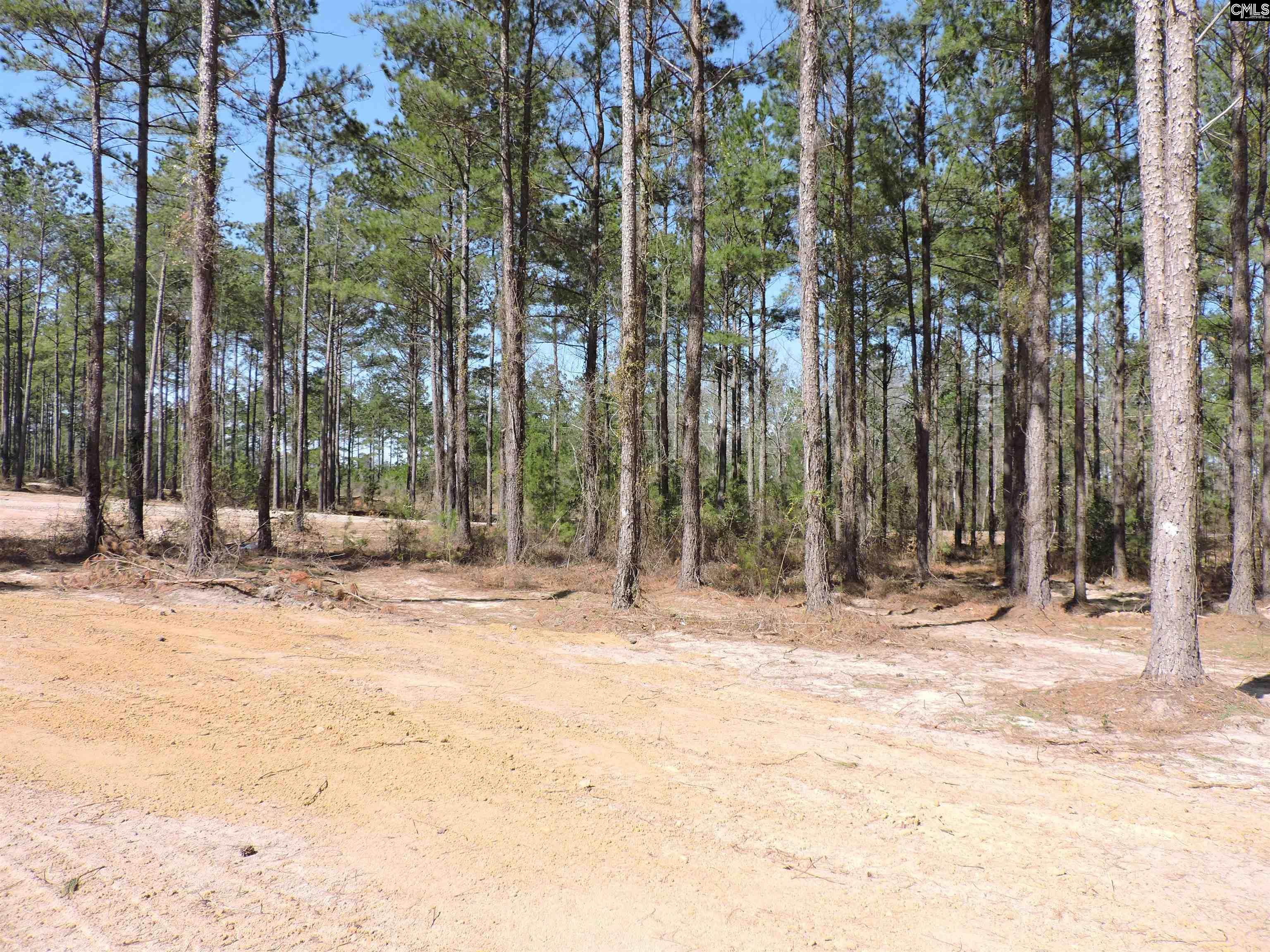 812 White Pond Road, Williston, South Carolina image 4