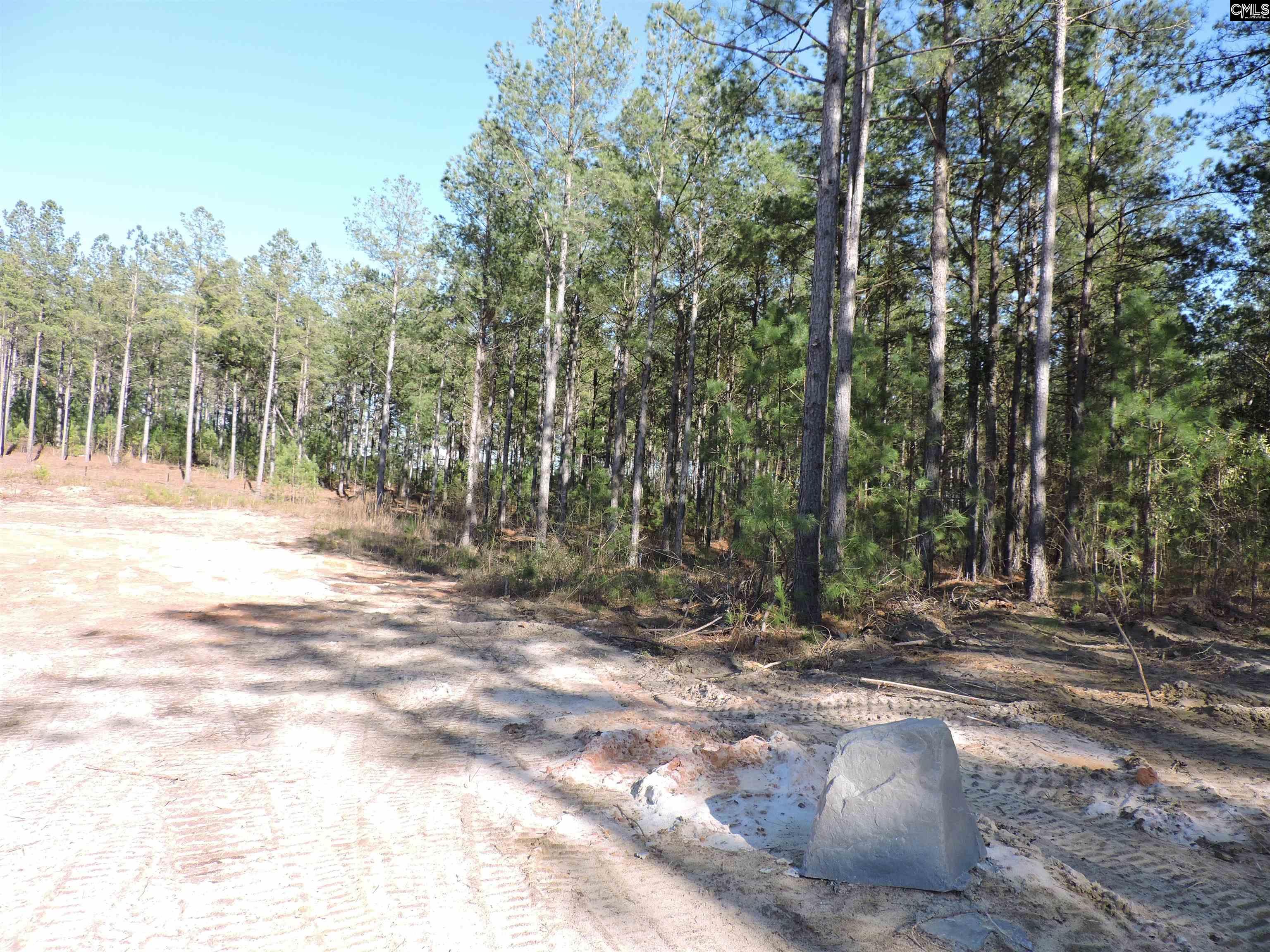 818 White Pond Road, Williston, South Carolina image 5