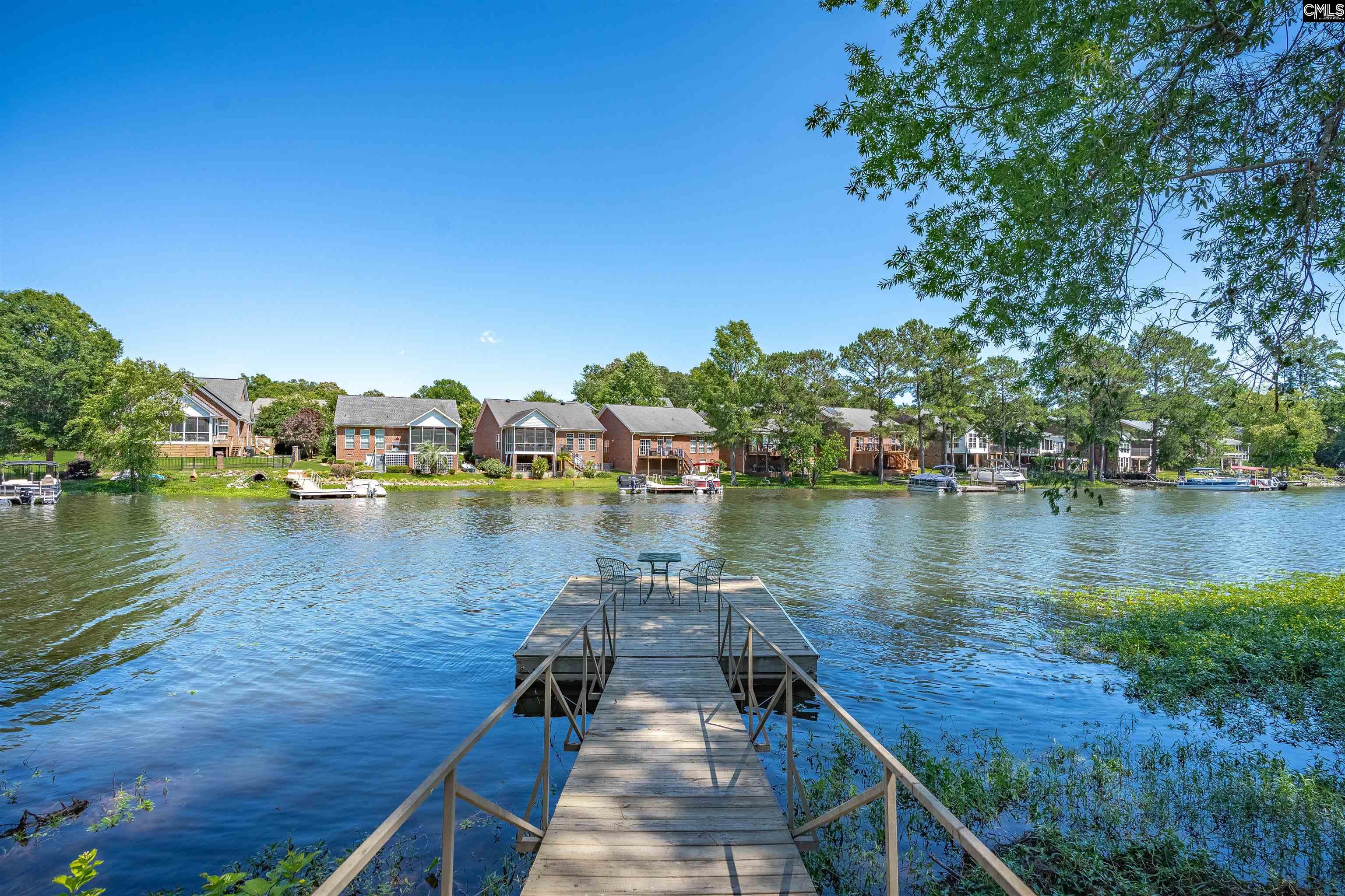 175 Stoney Pointe Drive, Chapin, South Carolina image 1