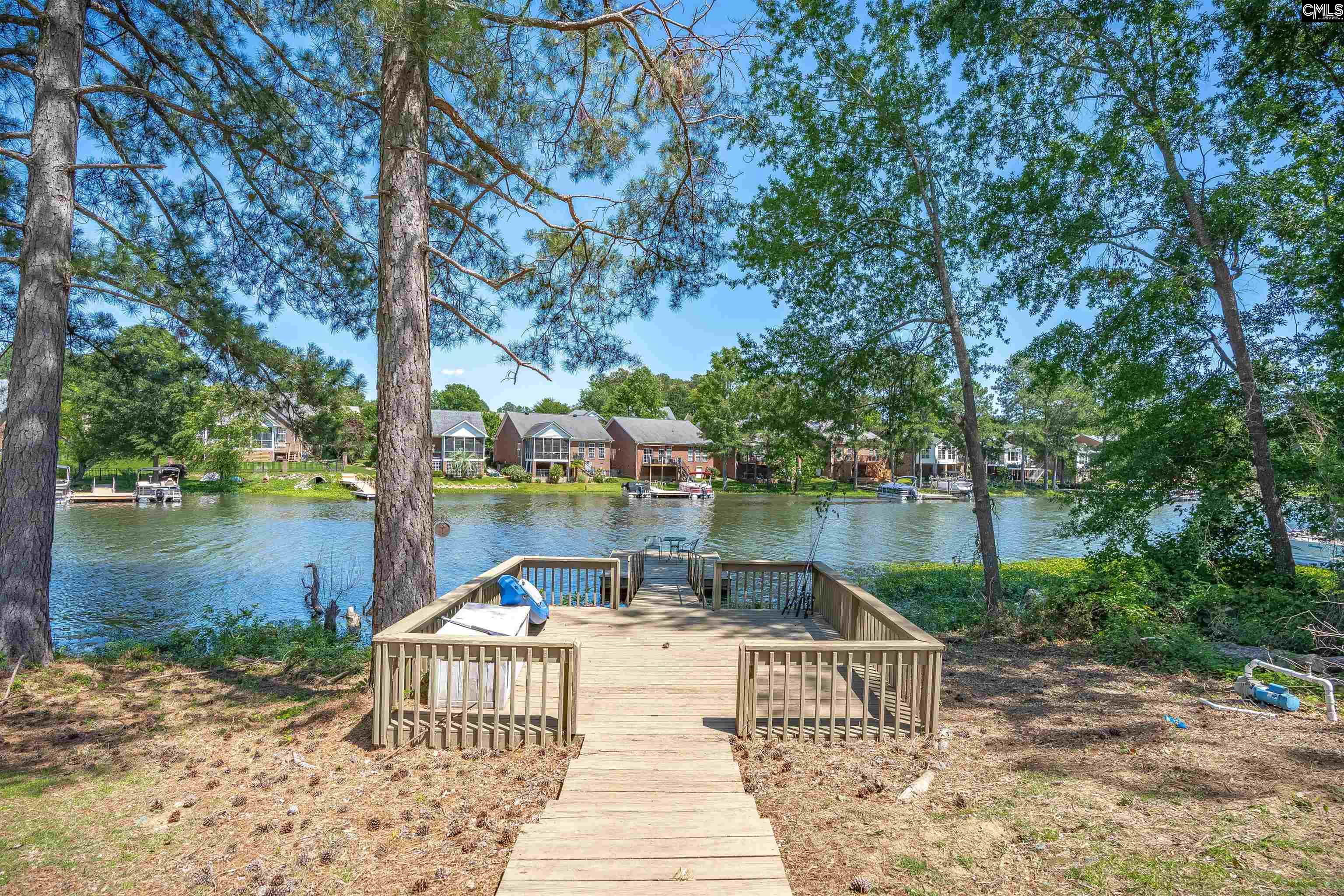 175 Stoney Pointe Drive, Chapin, South Carolina image 2