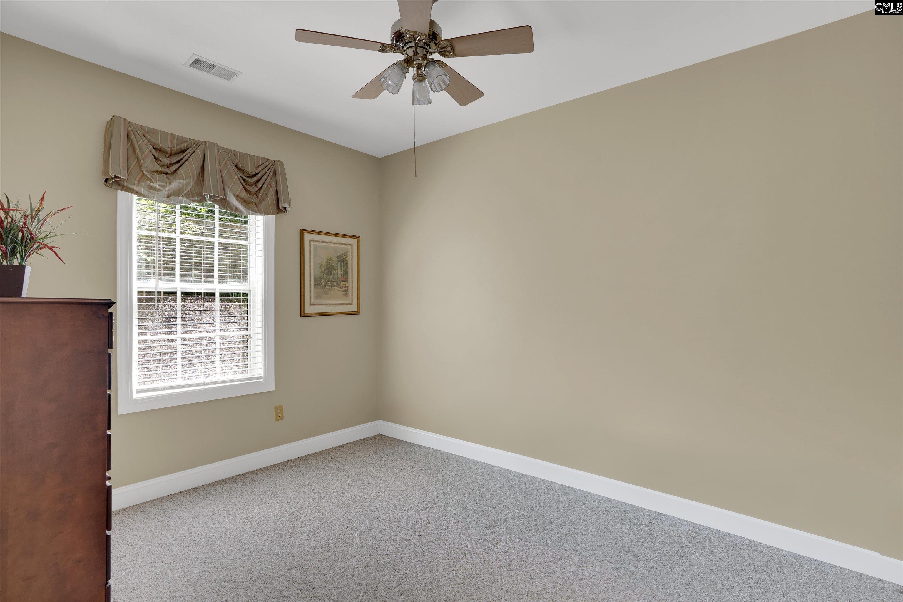175 Stoney Pointe Drive, Chapin, South Carolina image 38