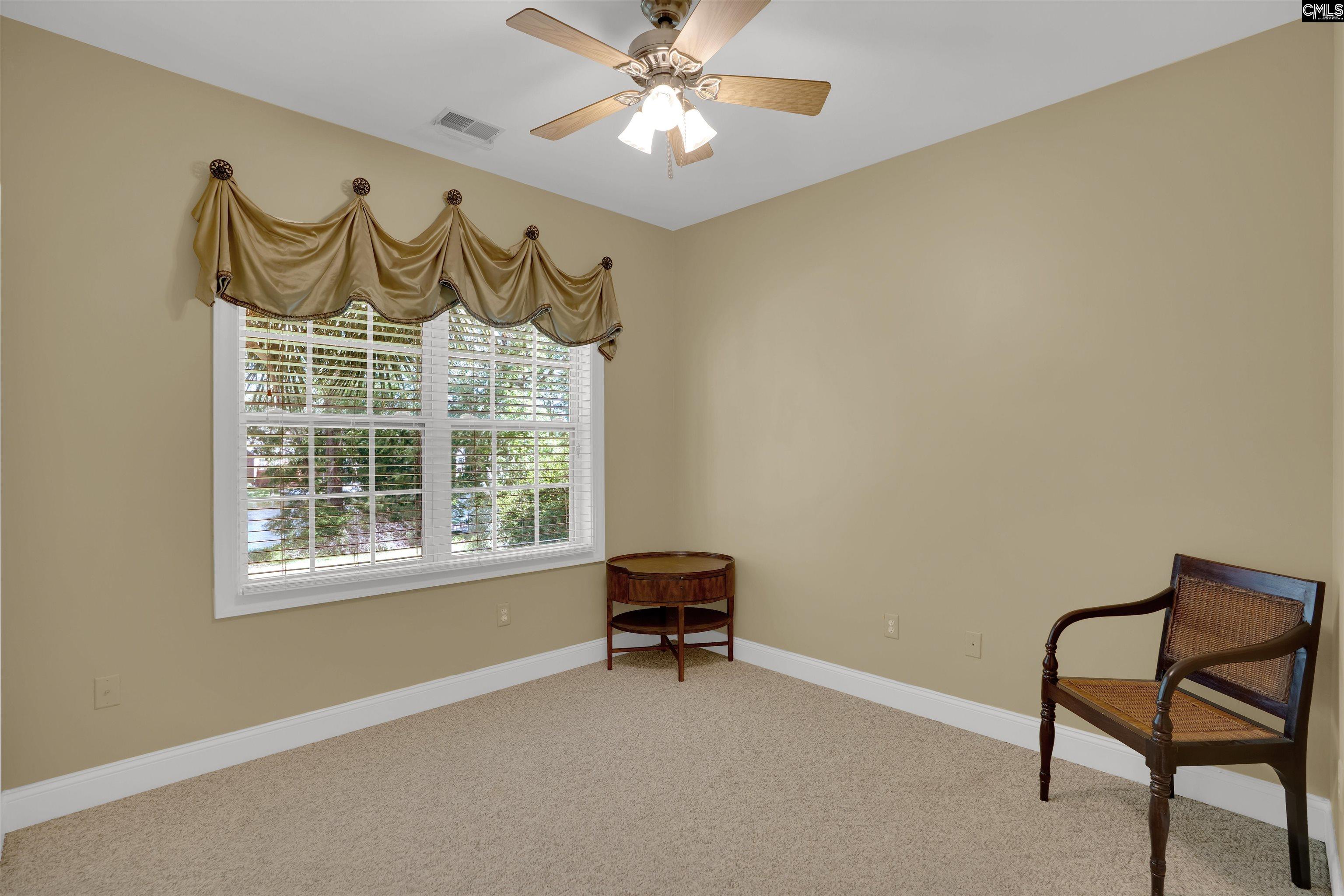 175 Stoney Pointe Drive, Chapin, South Carolina image 40