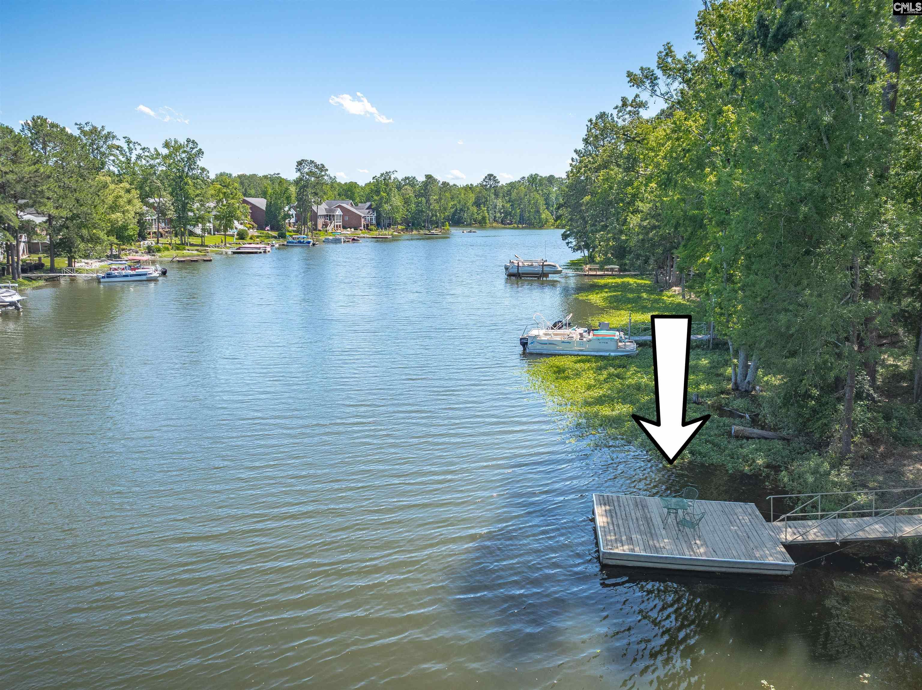 175 Stoney Pointe Drive, Chapin, South Carolina image 6