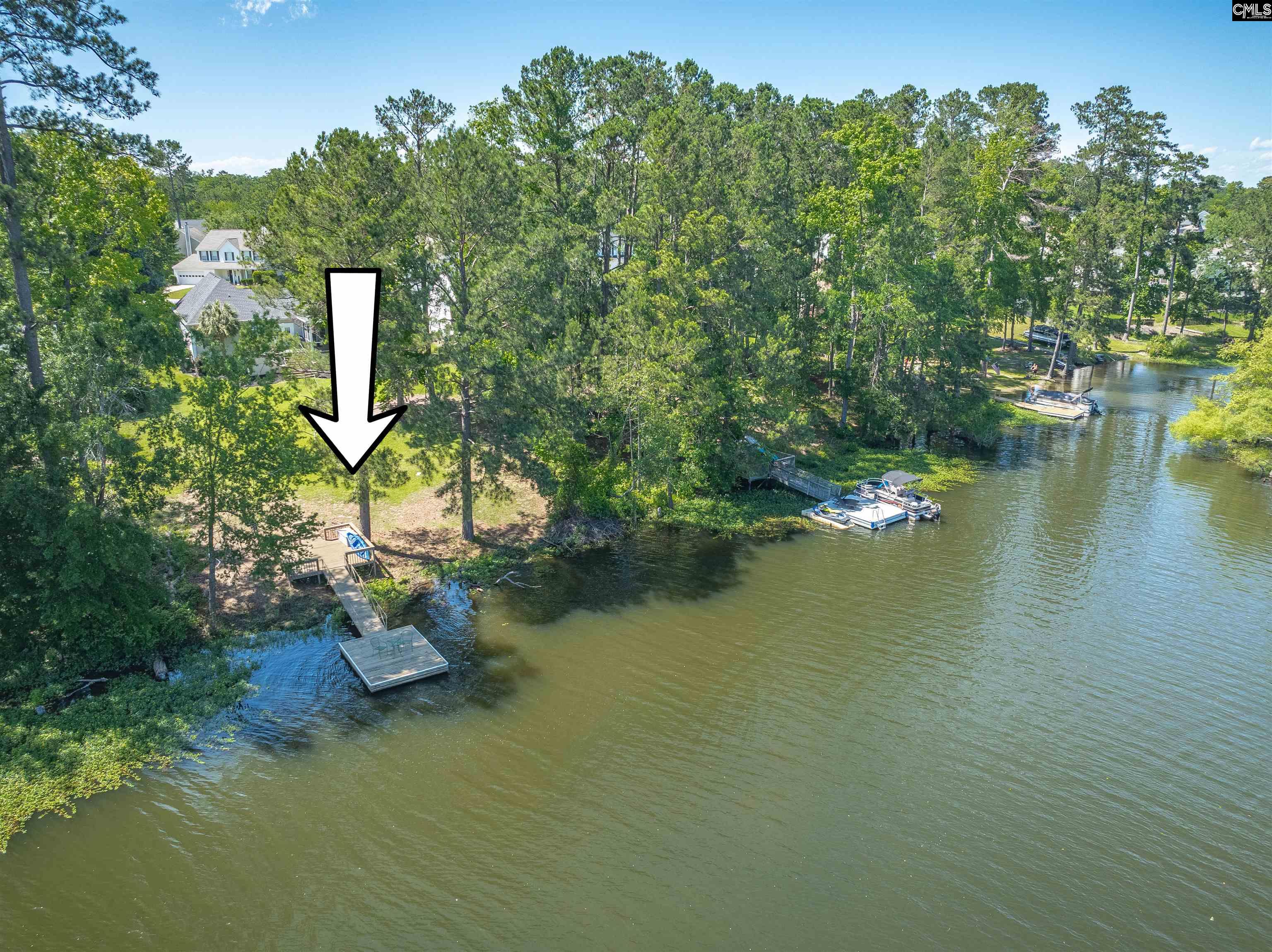 175 Stoney Pointe Drive, Chapin, South Carolina image 7