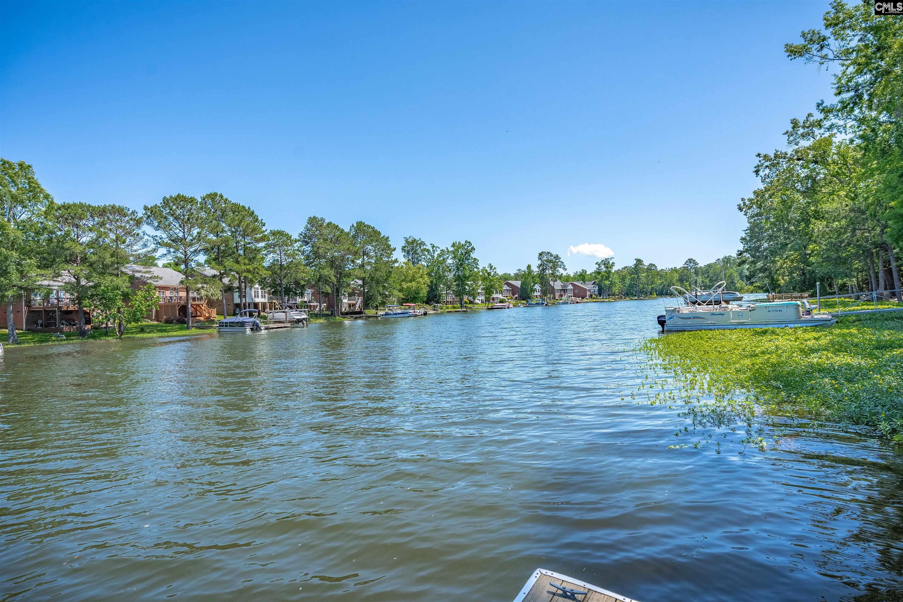 175 Stoney Pointe Drive, Chapin, South Carolina image 9