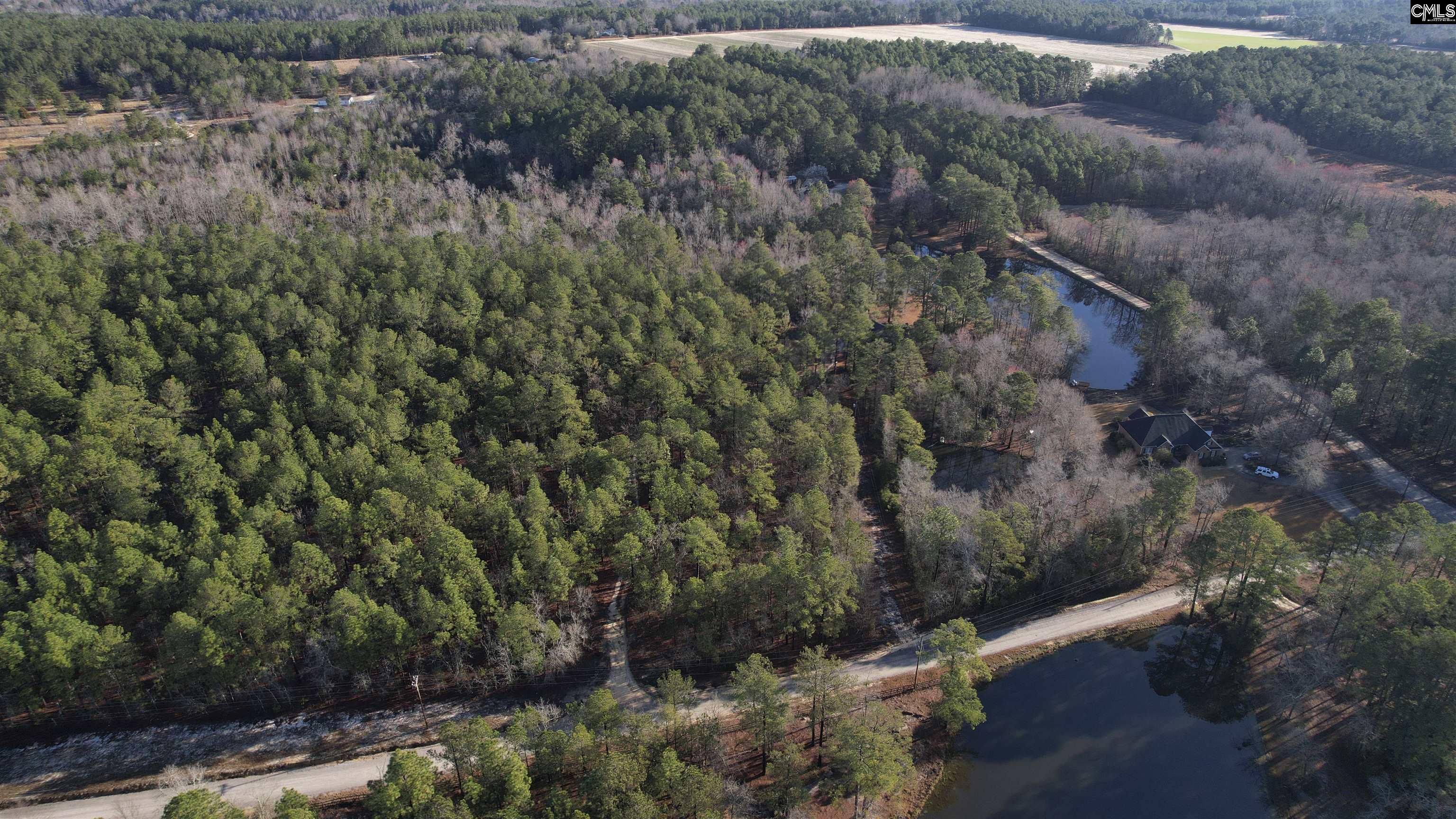 245 Hayes Crossing Road, Gilbert, South Carolina image 6