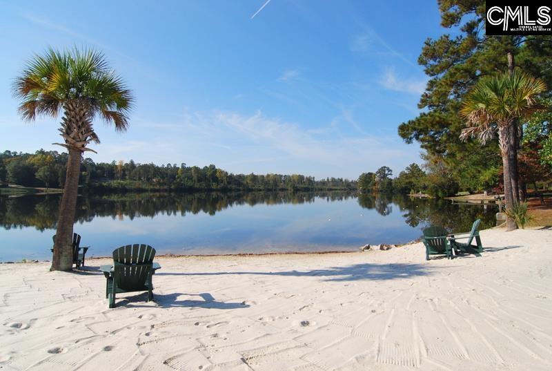 220 Lake Frances Drive, West Columbia, South Carolina image 34