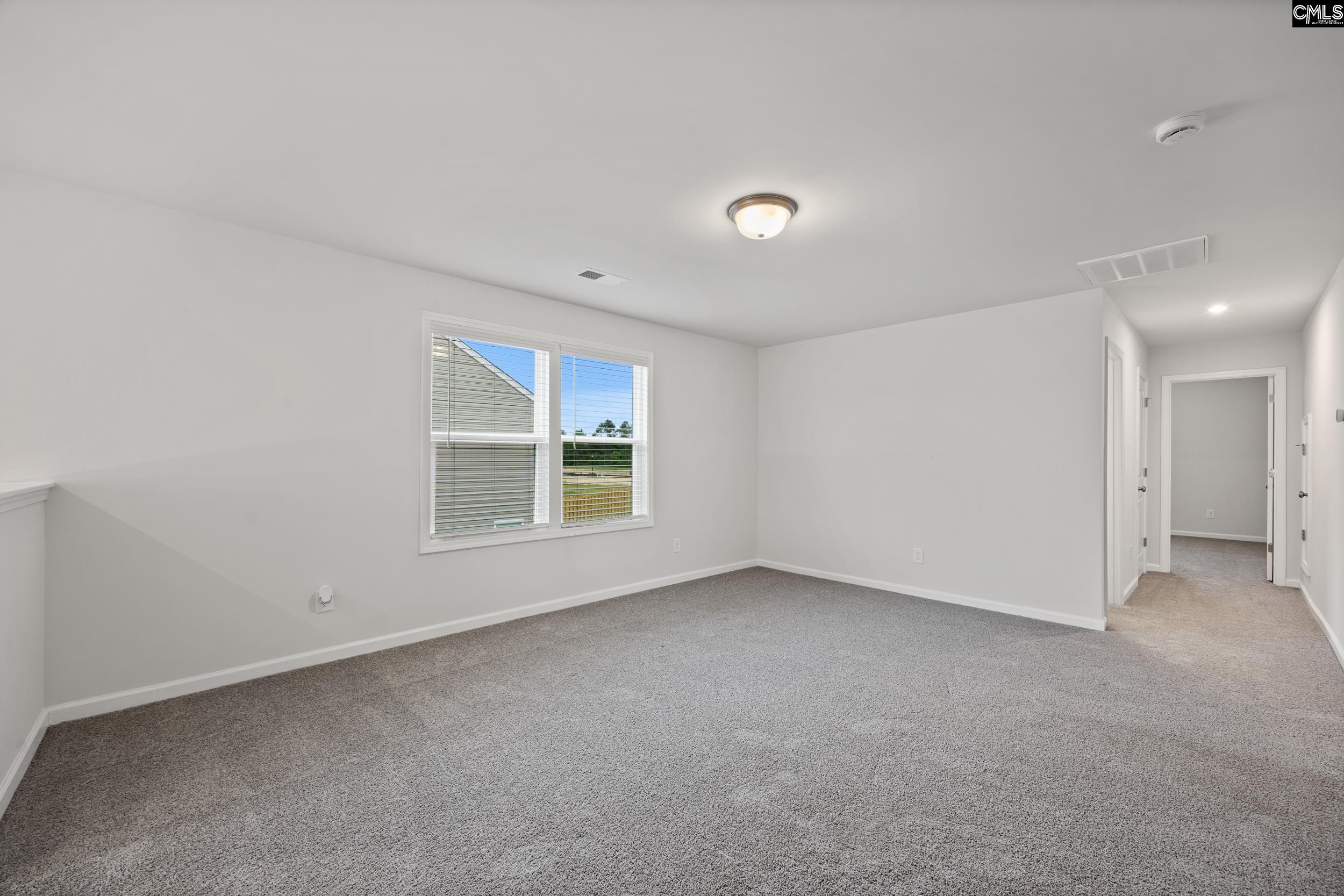 270 Brass Billion Path, Lexington, South Carolina image 18
