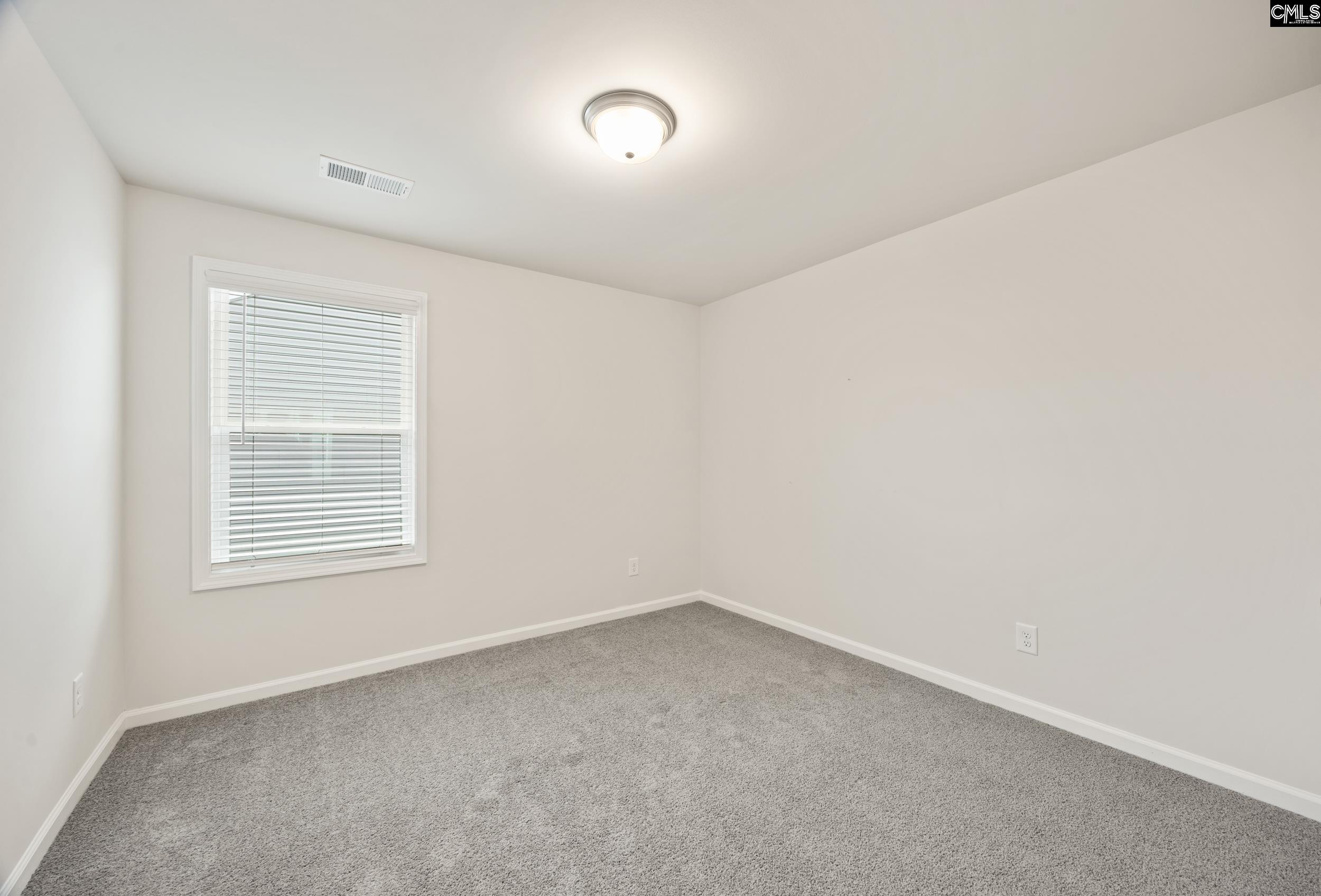 270 Brass Billion Path, Lexington, South Carolina image 22