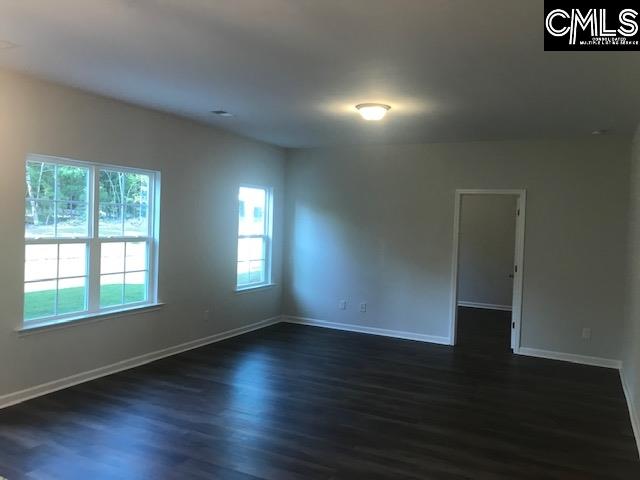 1351 Tamarind Lane Chapin, SC 29036