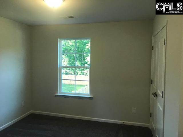 1351 Tamarind Lane Chapin, SC 29036