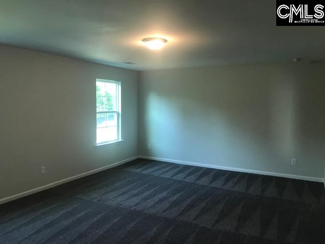 1351 Tamarind Lane Chapin, SC 29036