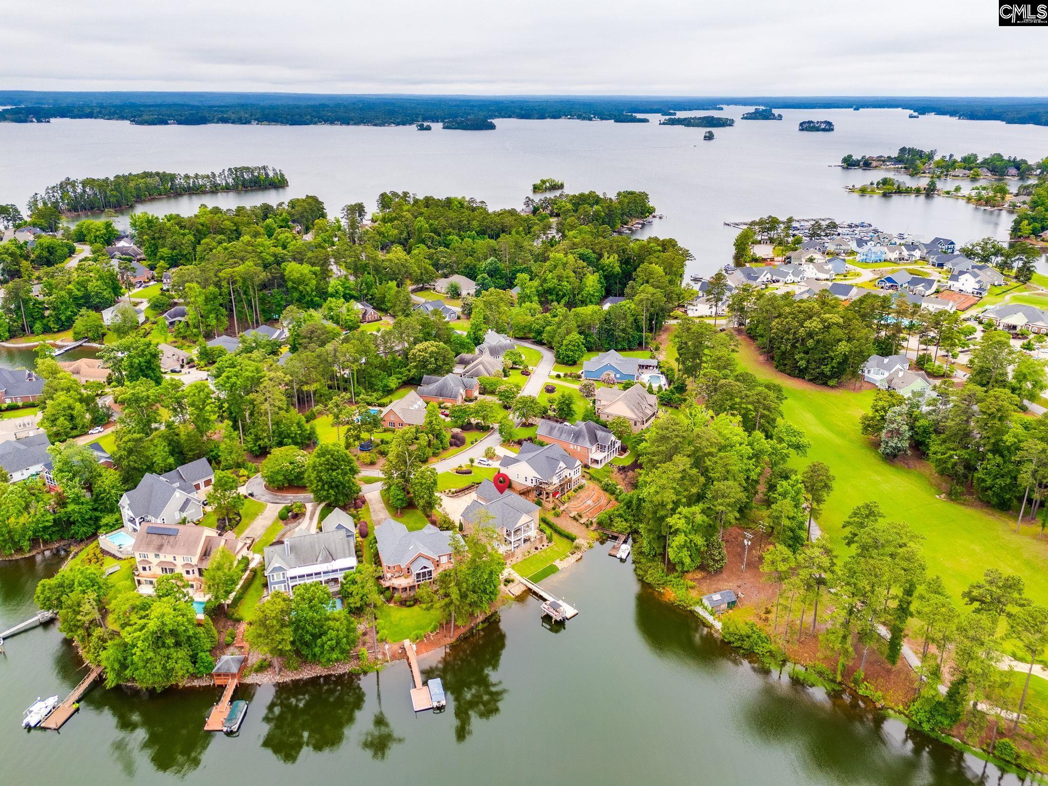 233 Pointe Overlook Drive, Chapin, South Carolina image 2