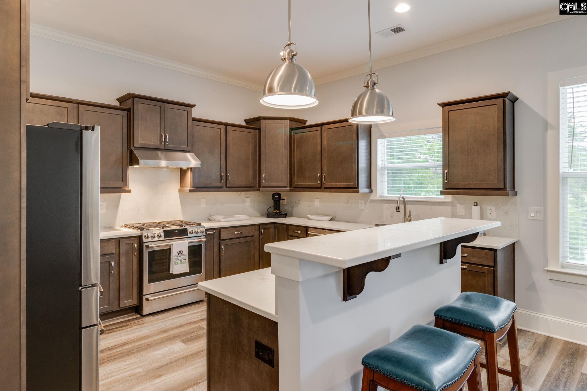 233 Pointe Overlook Drive, Chapin, South Carolina image 16