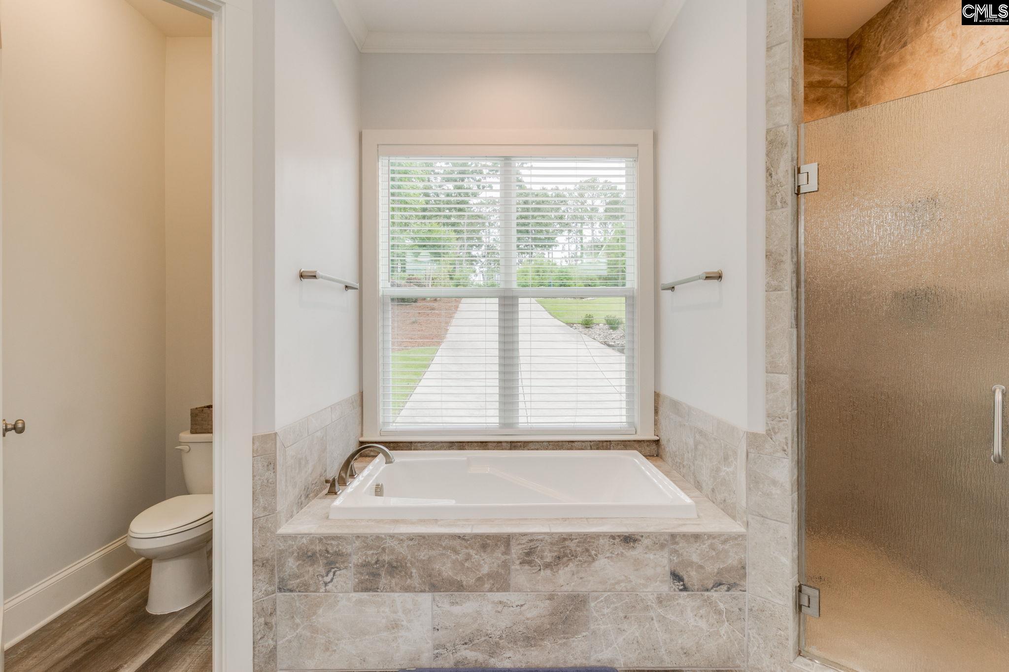 233 Pointe Overlook Drive, Chapin, South Carolina image 26
